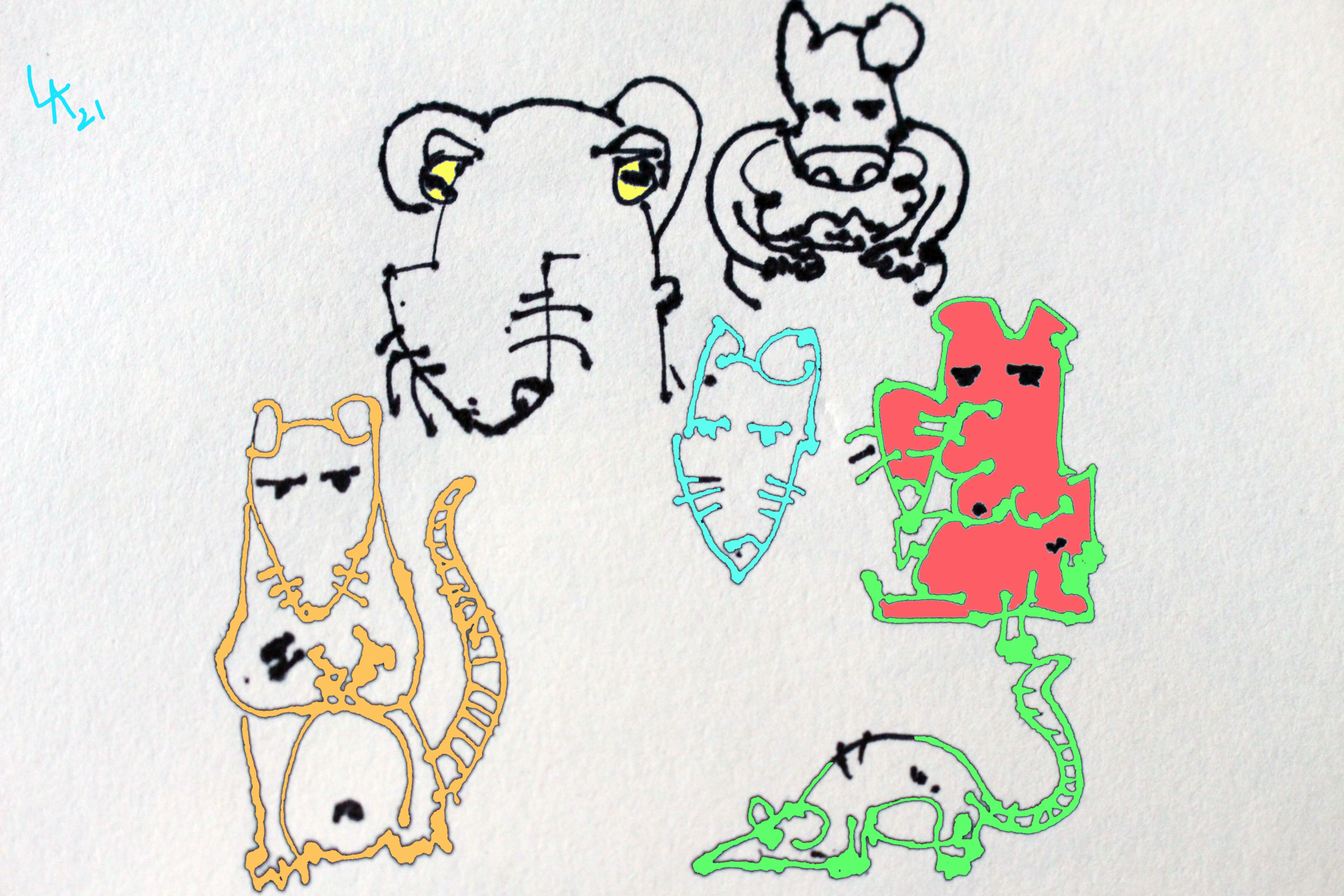 IMG_3384.png
