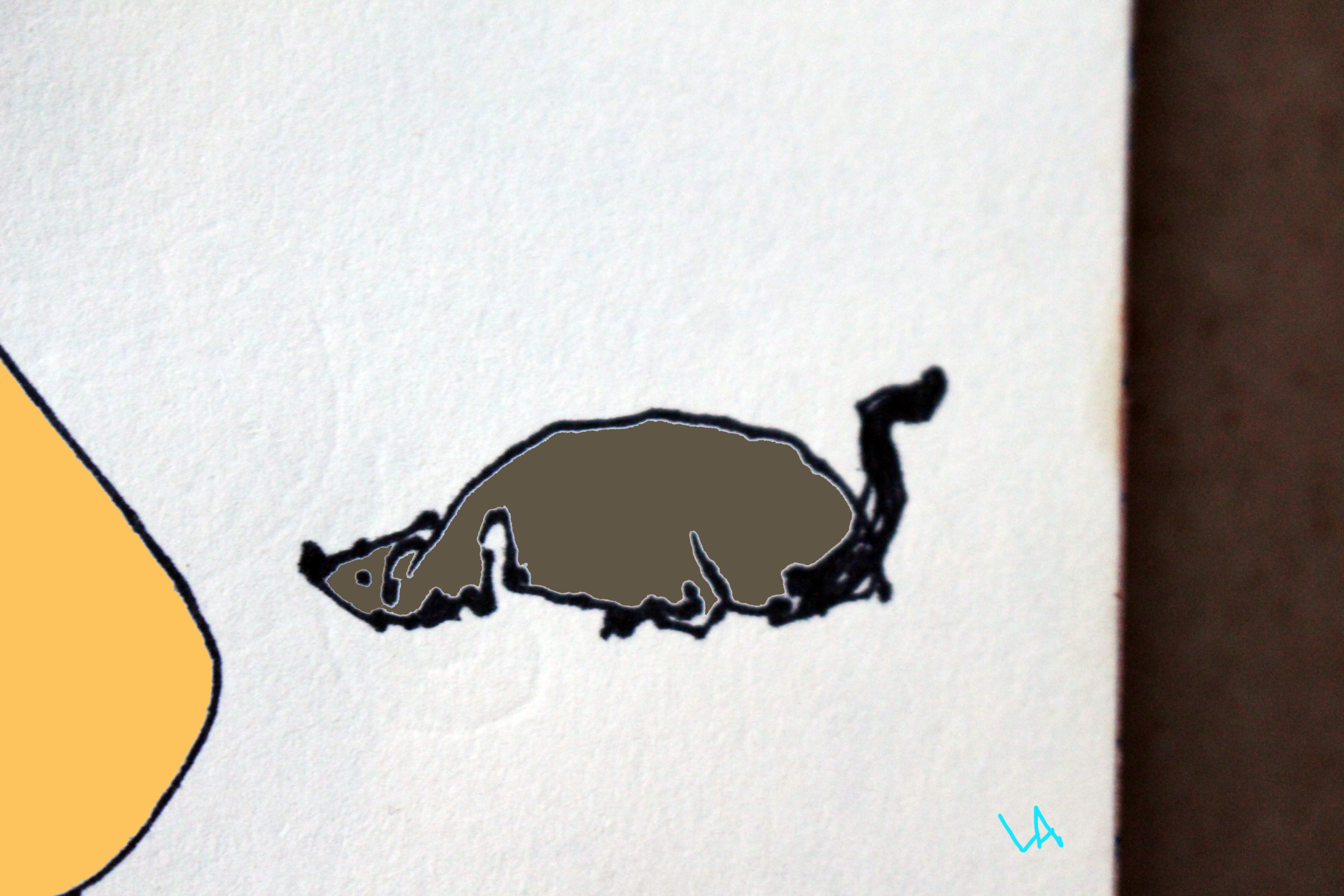 IMG_3386.png