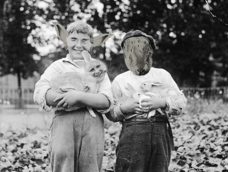2rabbit copy.jpg