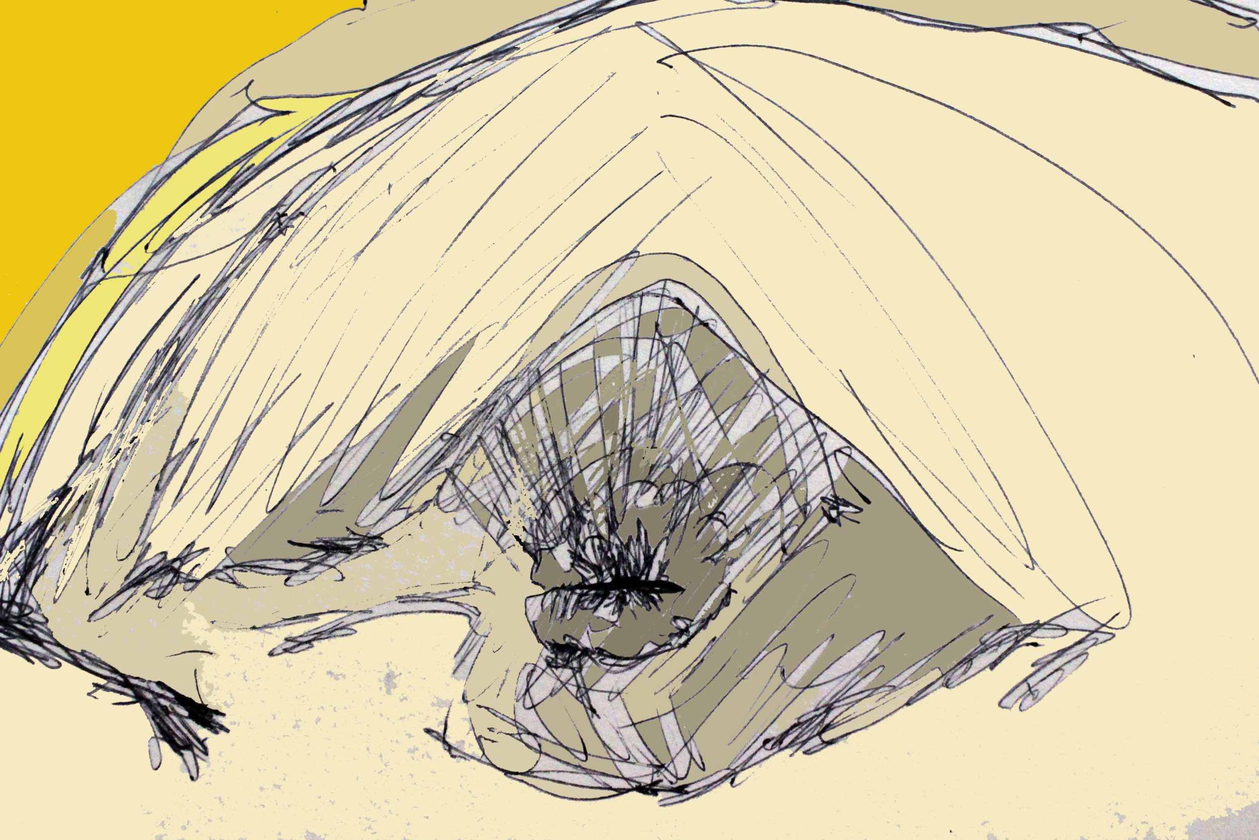 IMG_9672.png