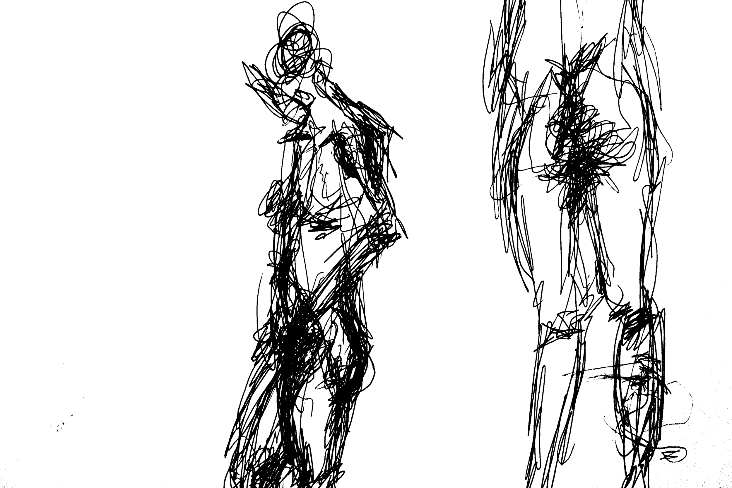 IMG_7974.png