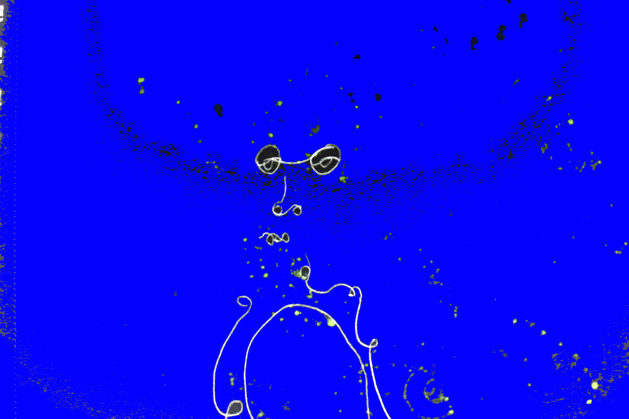 IMG_8957.png