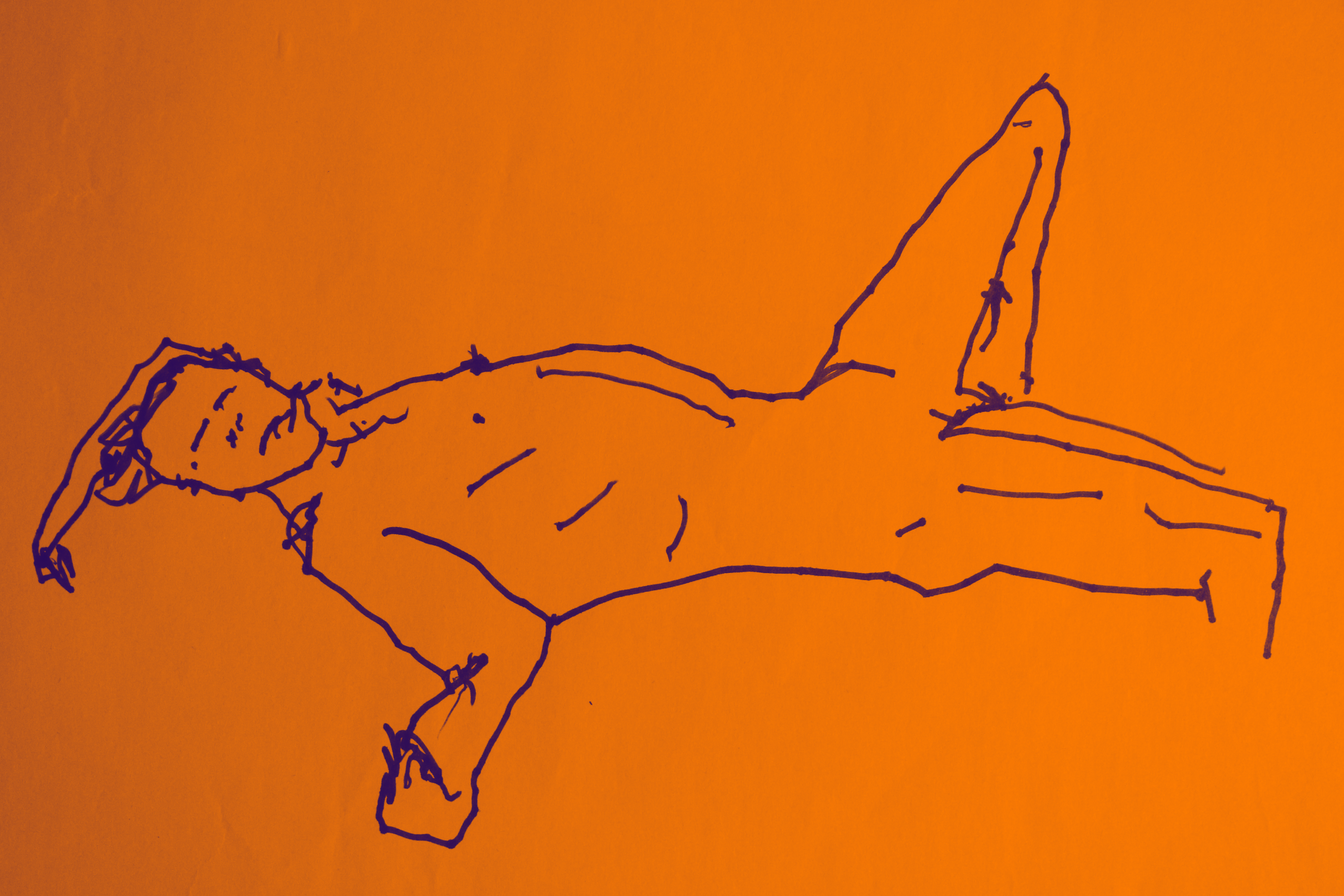 IMG_7942.png