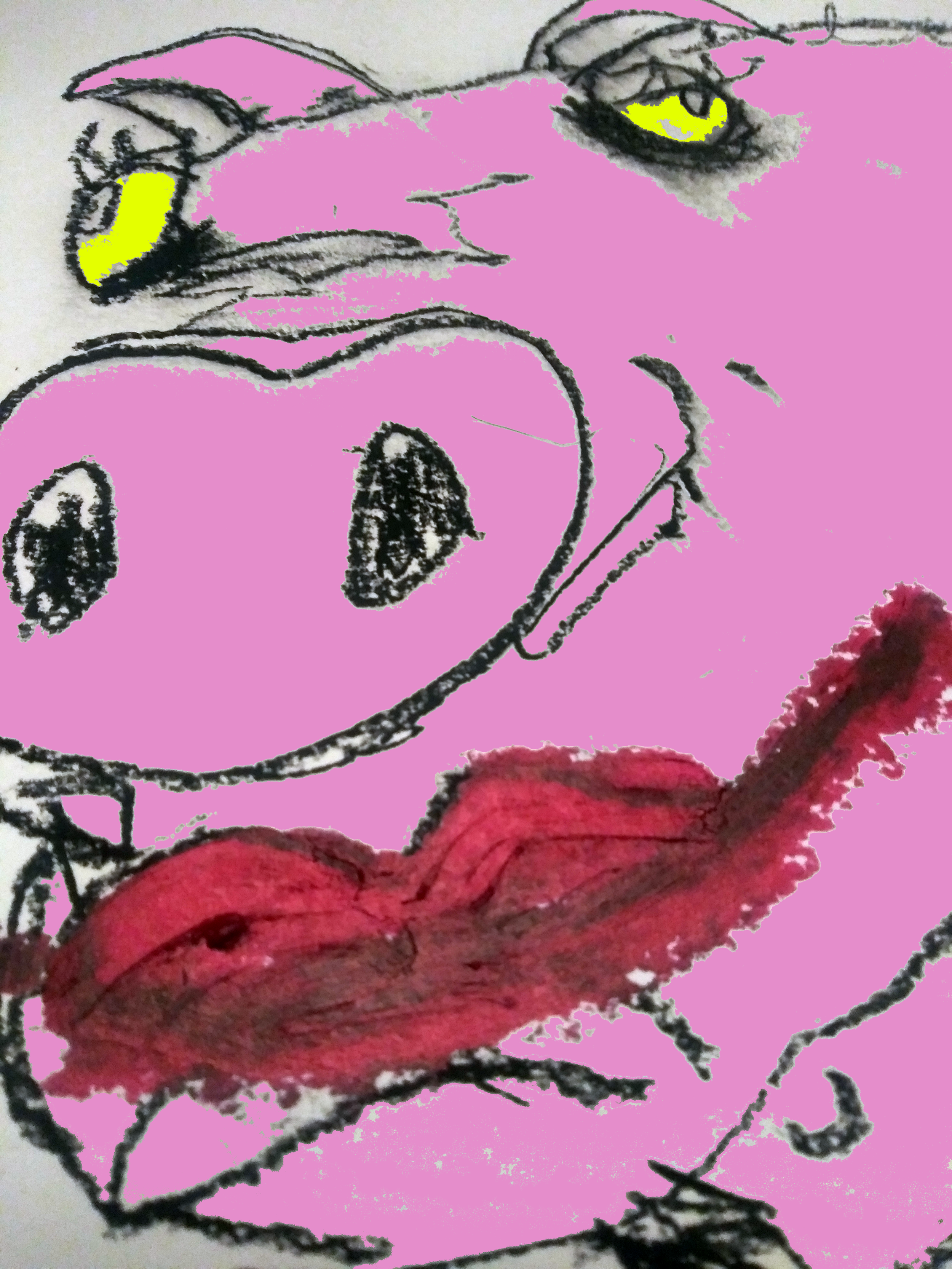 20181204_115953_HDRB.png