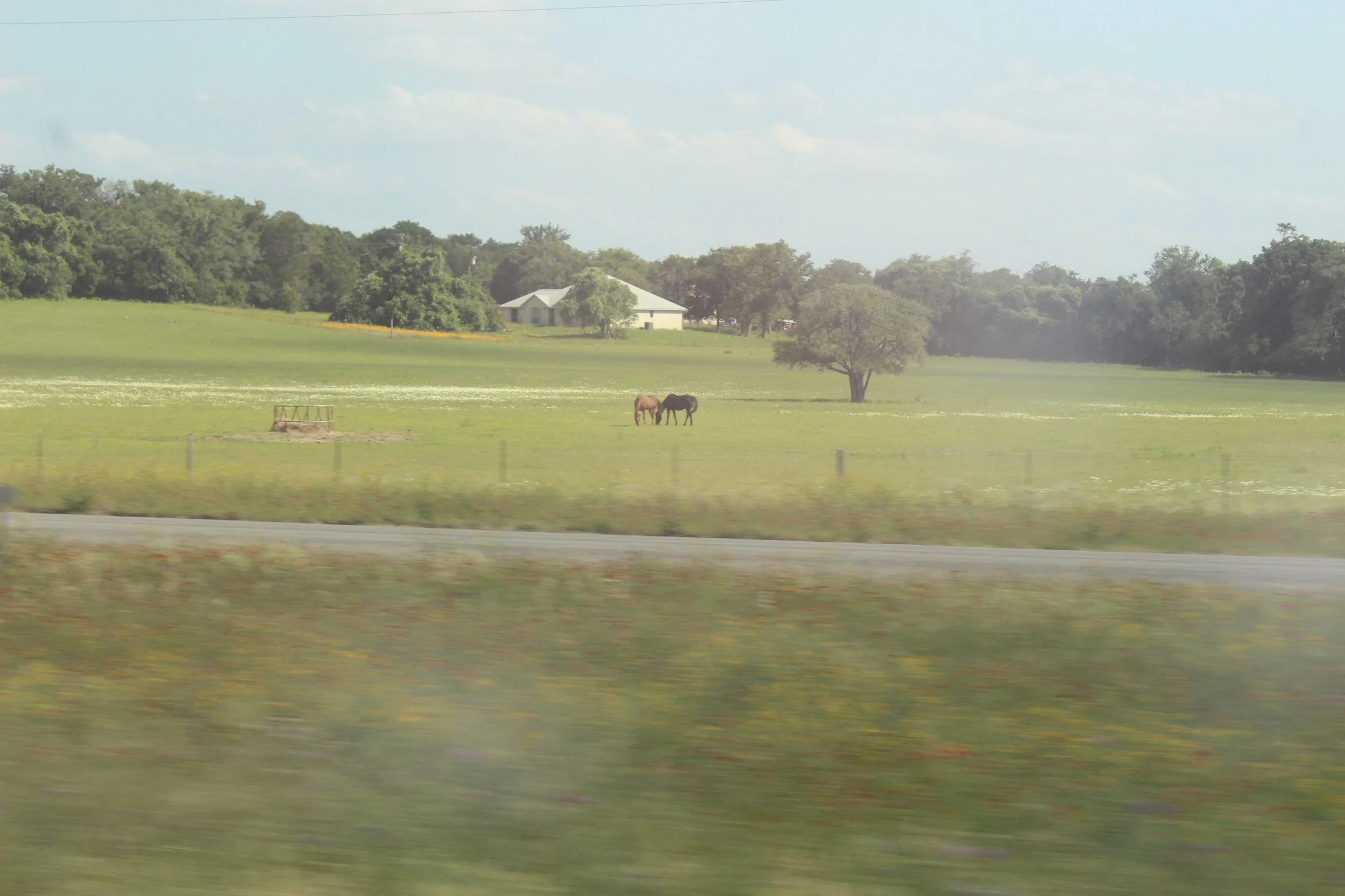 IMG_6188.JPG