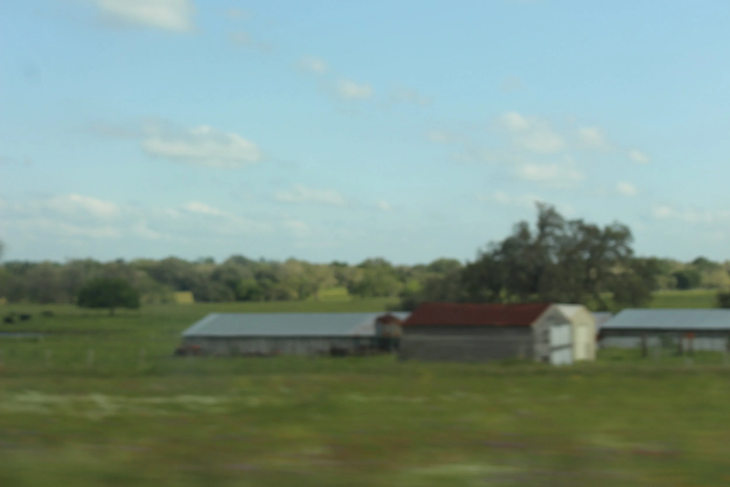 IMG_6202.JPG