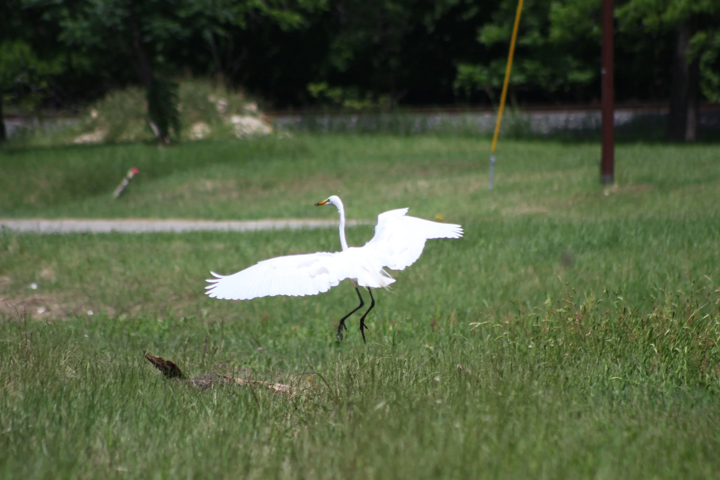 IMG_6539.JPG