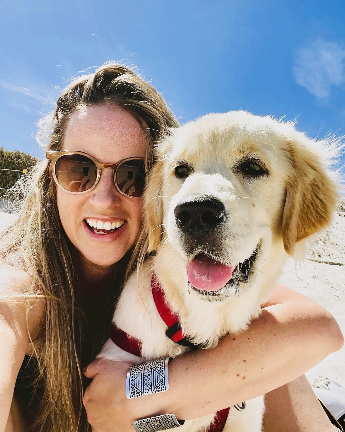 Energy Stewardship and the Quiet Life