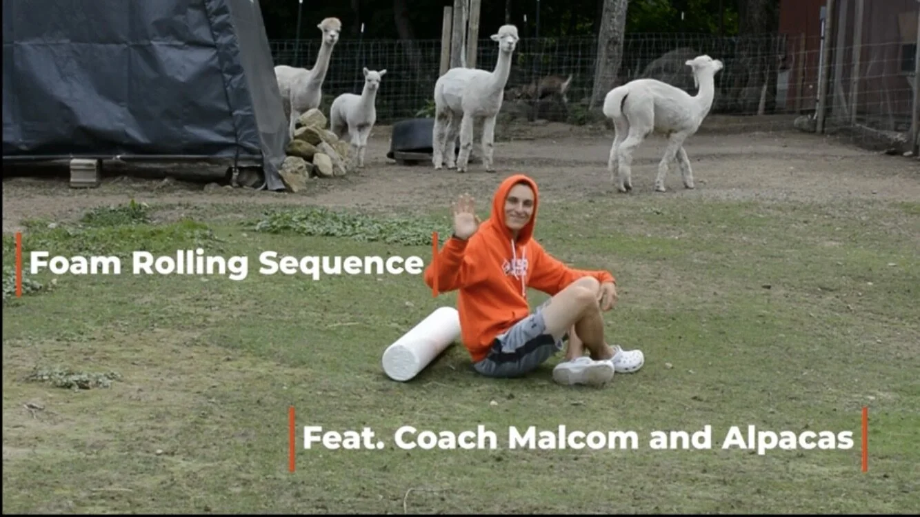 Foam Rolling Sequence Feat. Alpacas!