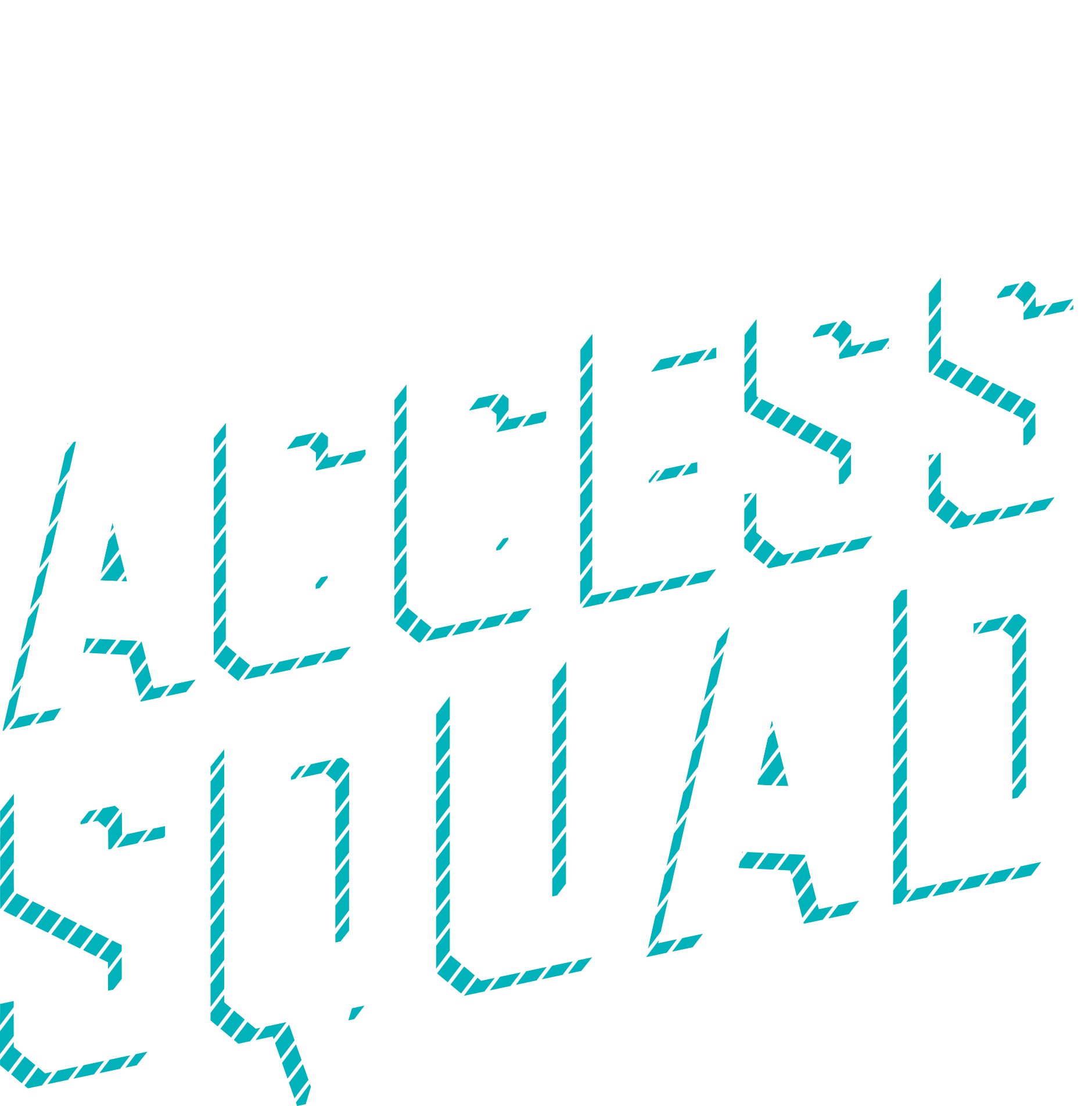 Community Access Squad
