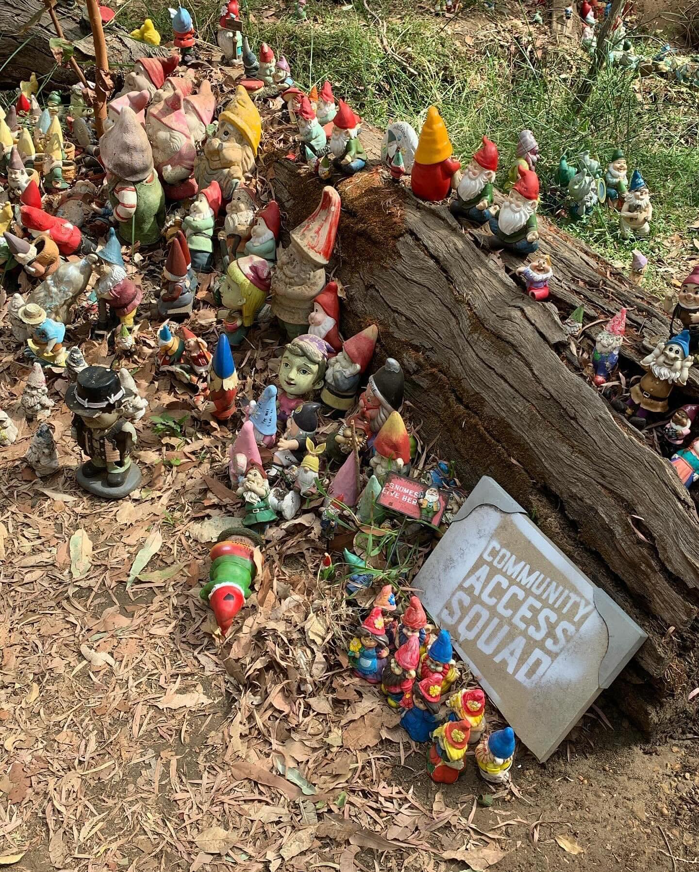 Gnome matter what anyone else says this is a very special moment for CAS! @cas_bunbury
