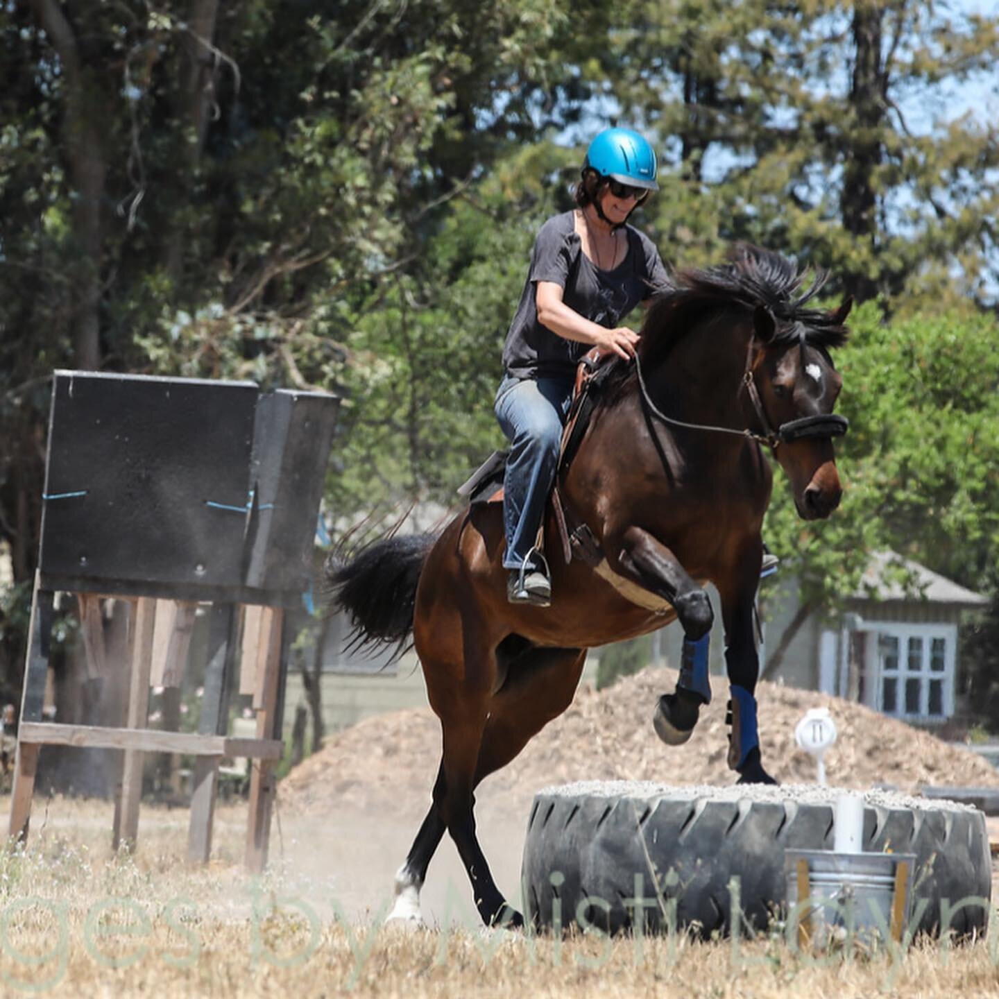 We are beyond lucky to welcome back the ultra talented @mistilayne as our Mustang Showcase photographer. 💚🐴

She&rsquo;s able to capture such sweet moments as well as all the fun action too. We thank her for being on board for the June Showcase and
