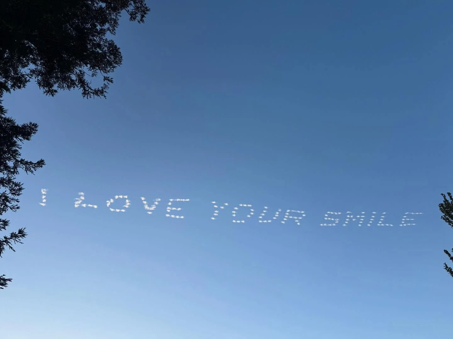 🌟 Honoring Our Beloveds 🌟

At this year&rsquo;s Mustang Showcase, we will have a special remembrance table to honor those who have touched our lives and have since crossed over&mdash;whether horse, dog, cat, or human.

We invite you to bring a phot