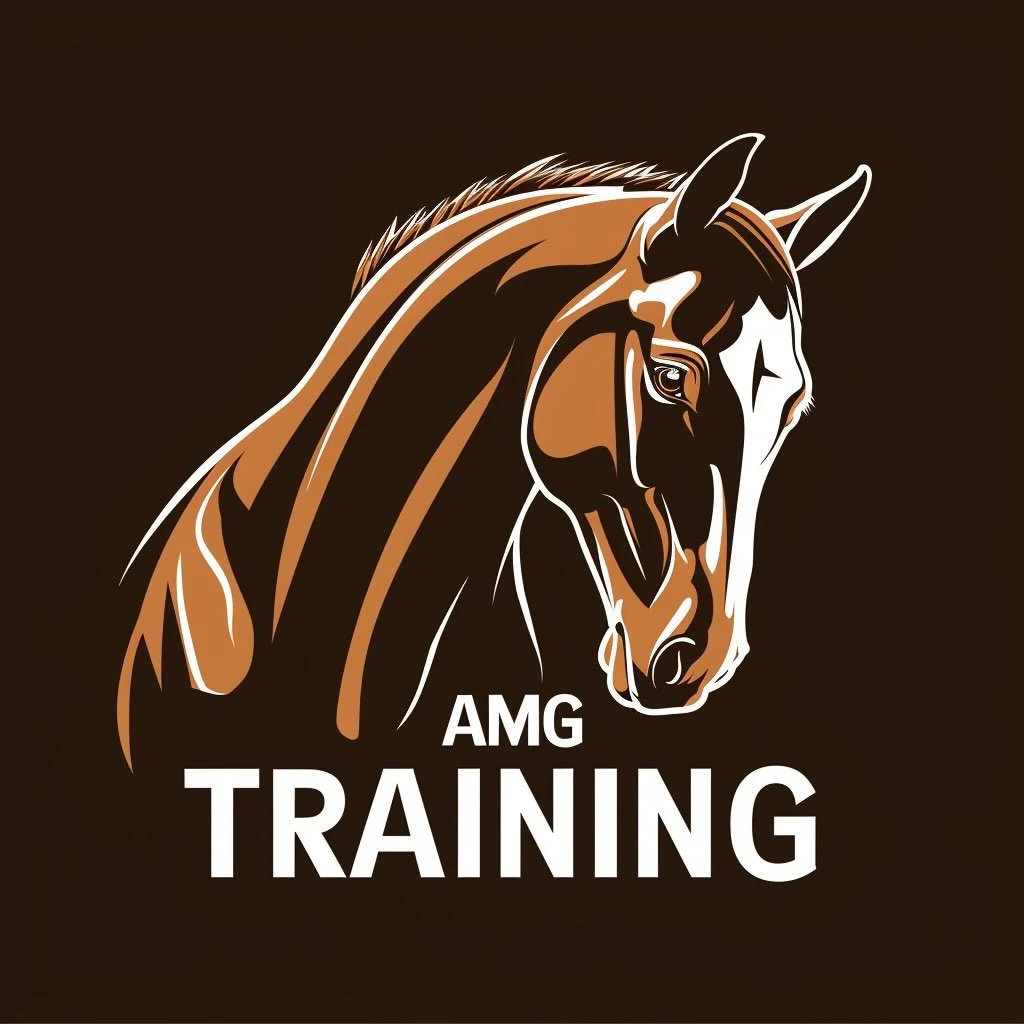 Thanks to our FIRST buckle sponsor! Whoo hoo!! Thank you for your support @amgtrainingllc 🩵🤠🐴✨