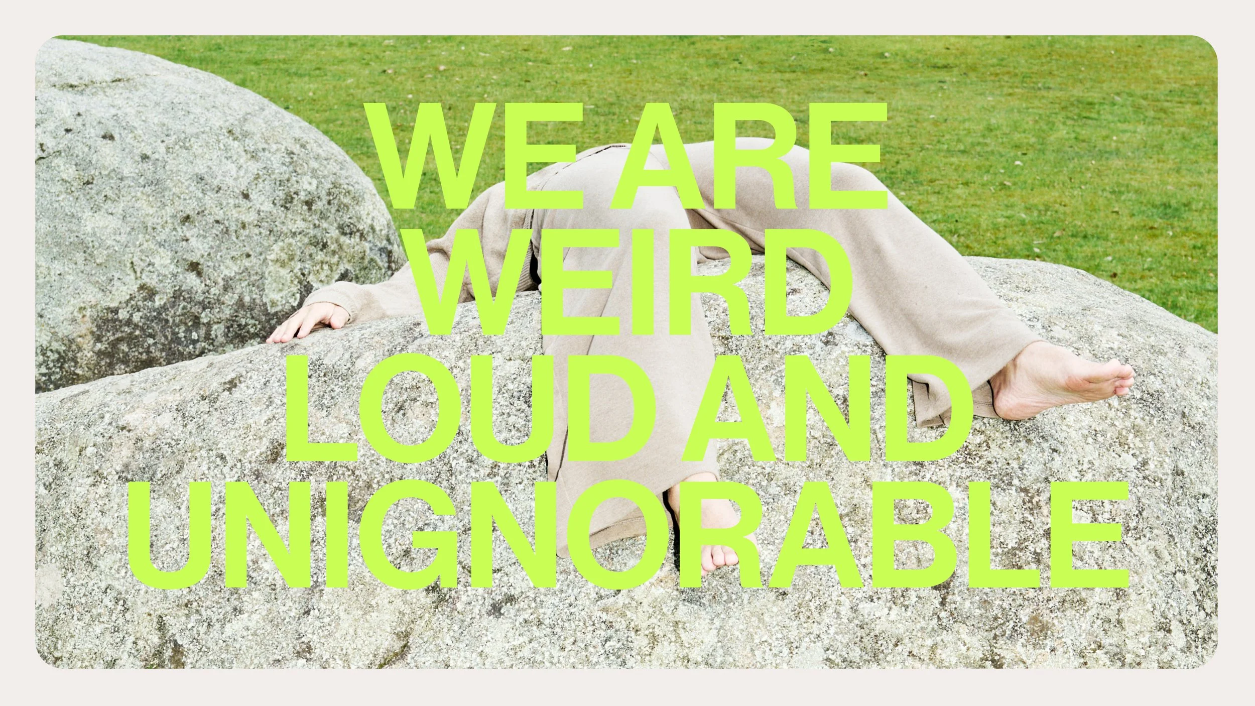 Bullfrog Rebrand - Completed at Bullfrog