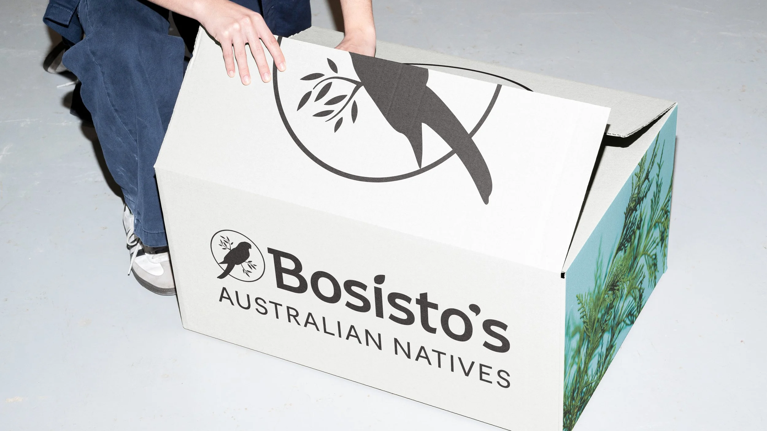 JS_FRAMER_FOLIO_BOSISTOS_2611.jpg