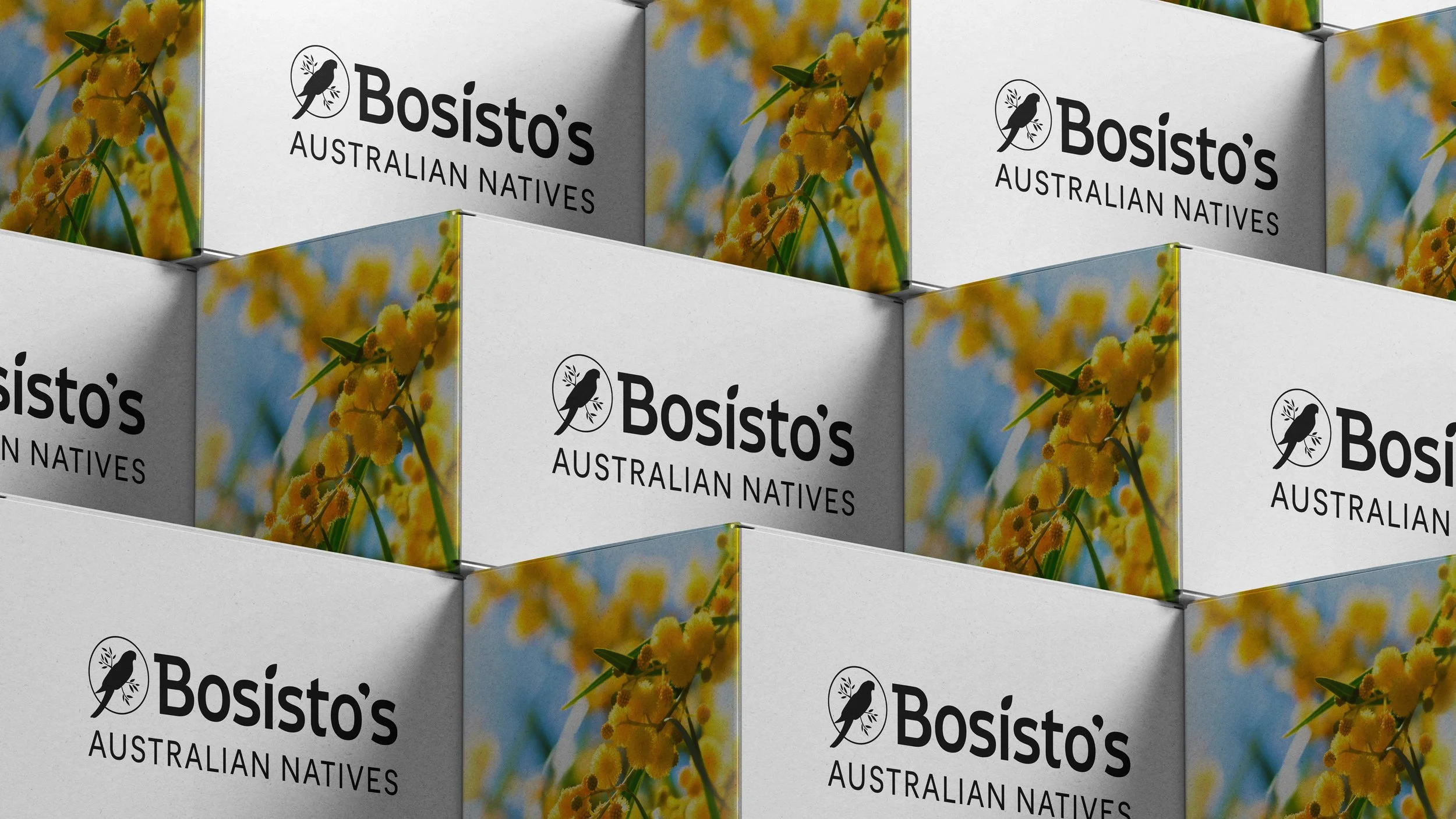 JS_FRAMER_FOLIO_BOSISTOS_2610.jpg