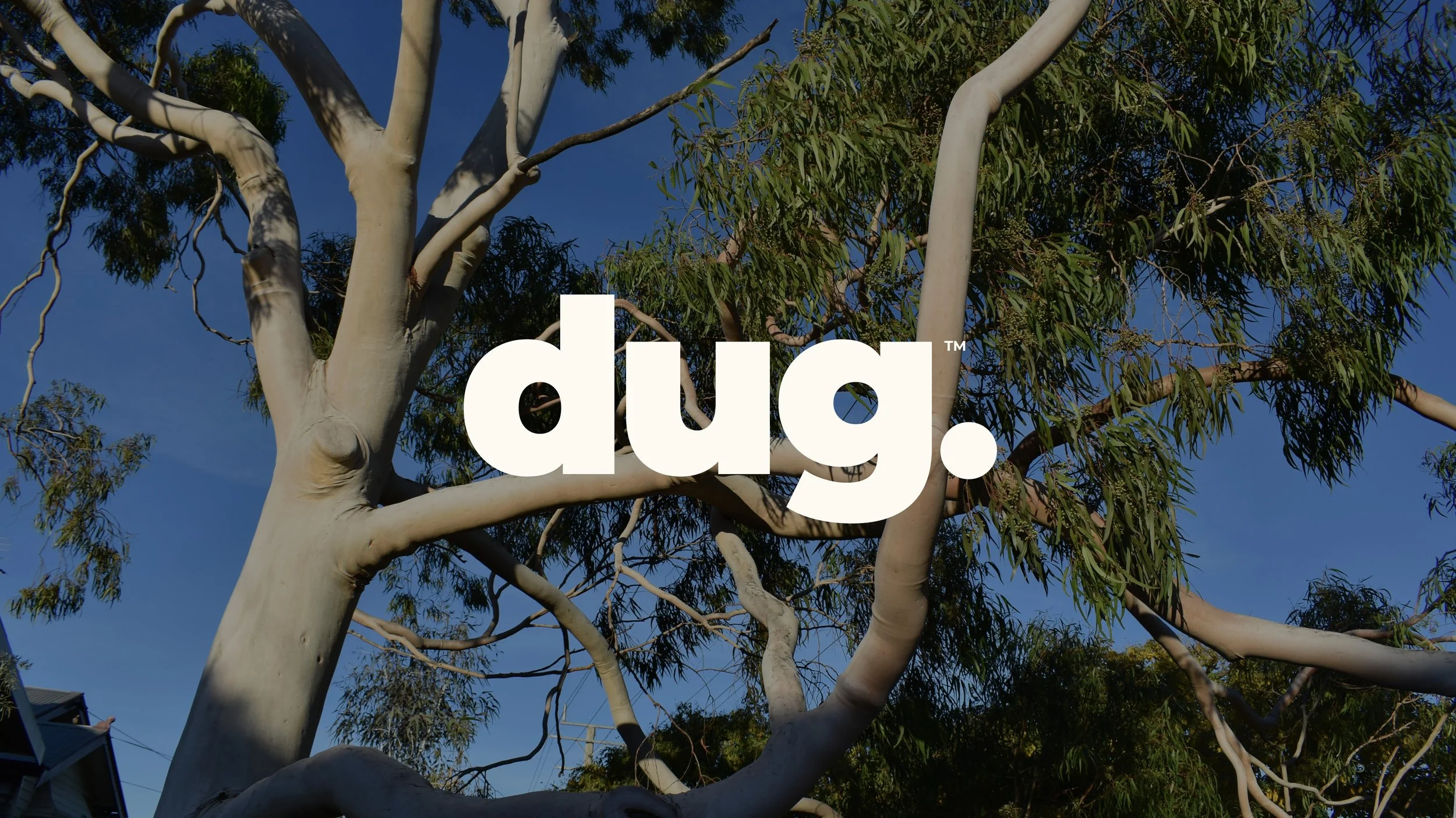 JS_FRAMER_FOLIO_DUG_2637.jpg