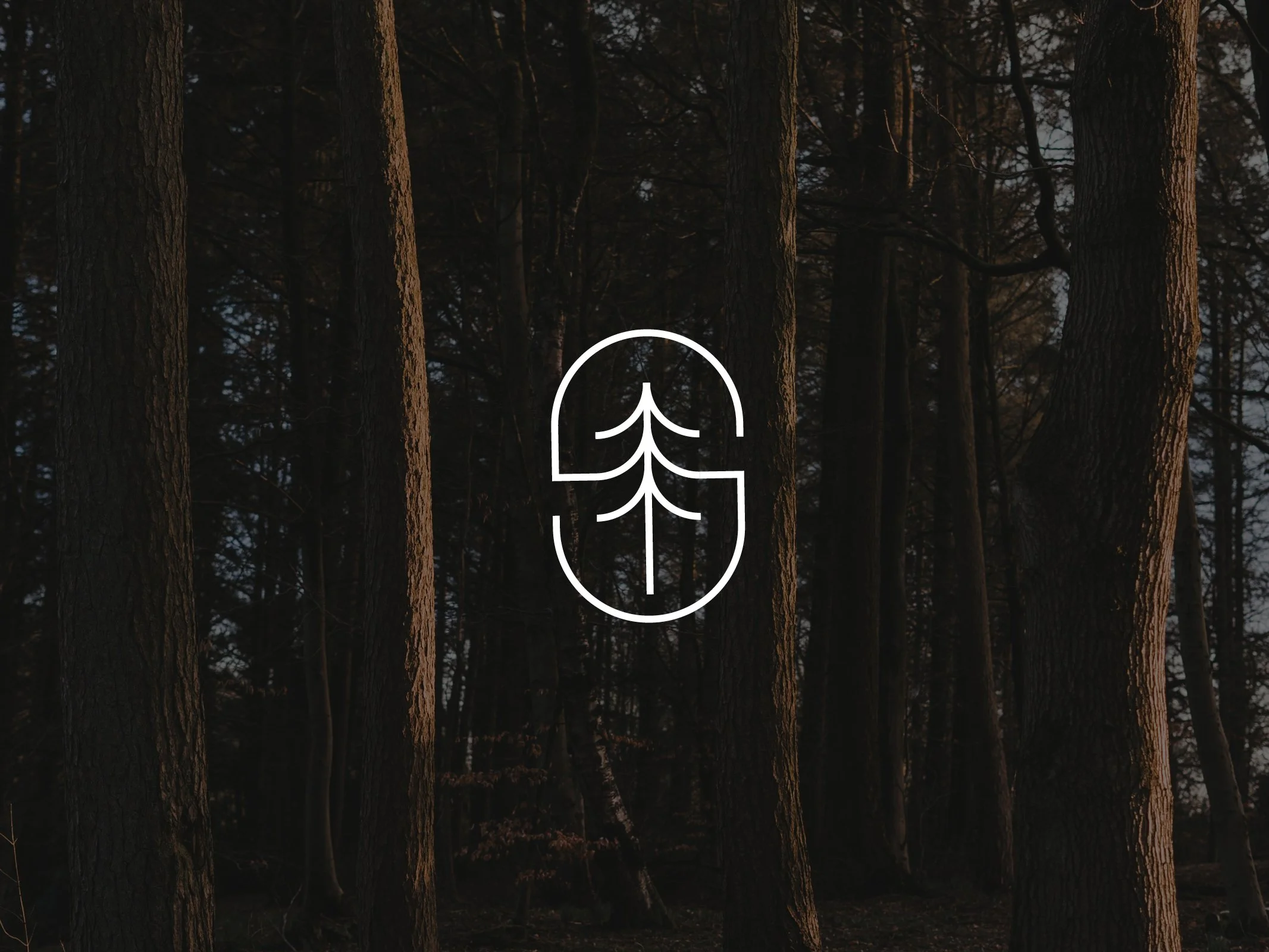 JASE_GOLF_FOLIO_TEST8.jpg