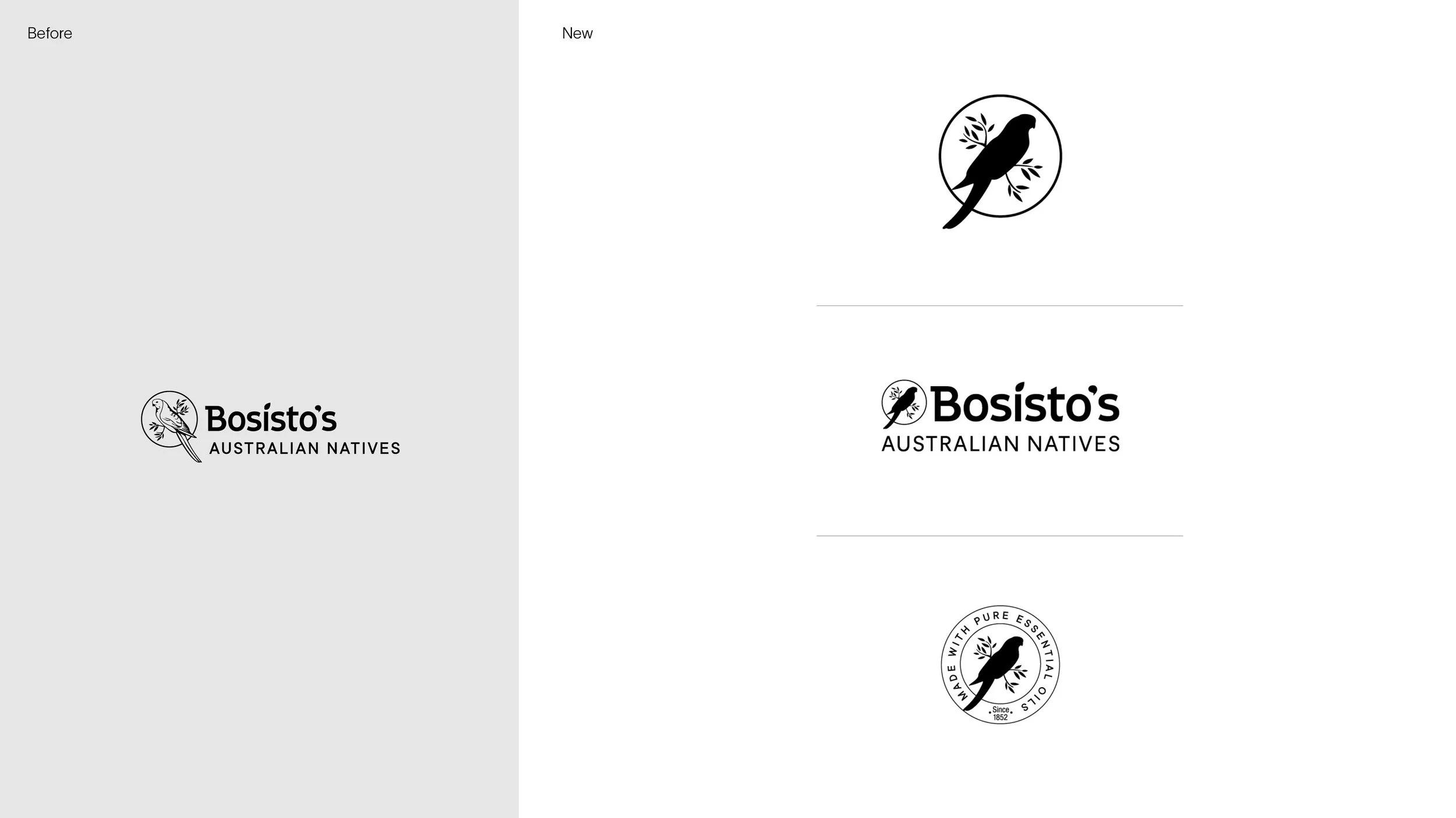 JS_FRAMER_FOLIO_BOSISTOS_262.jpg