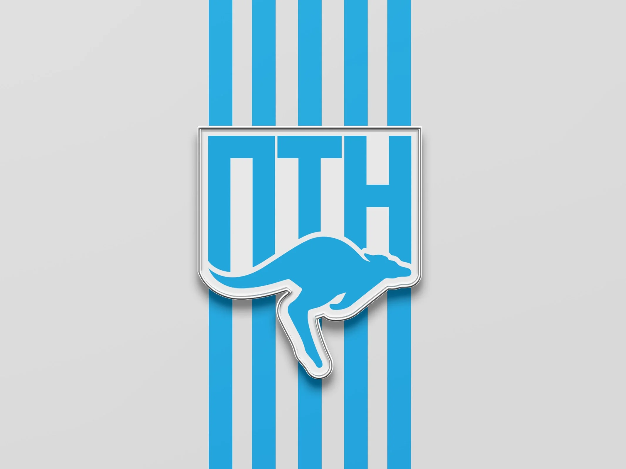 jase-studio-afl-guernsey-brand-logo-scarf2.jpg
