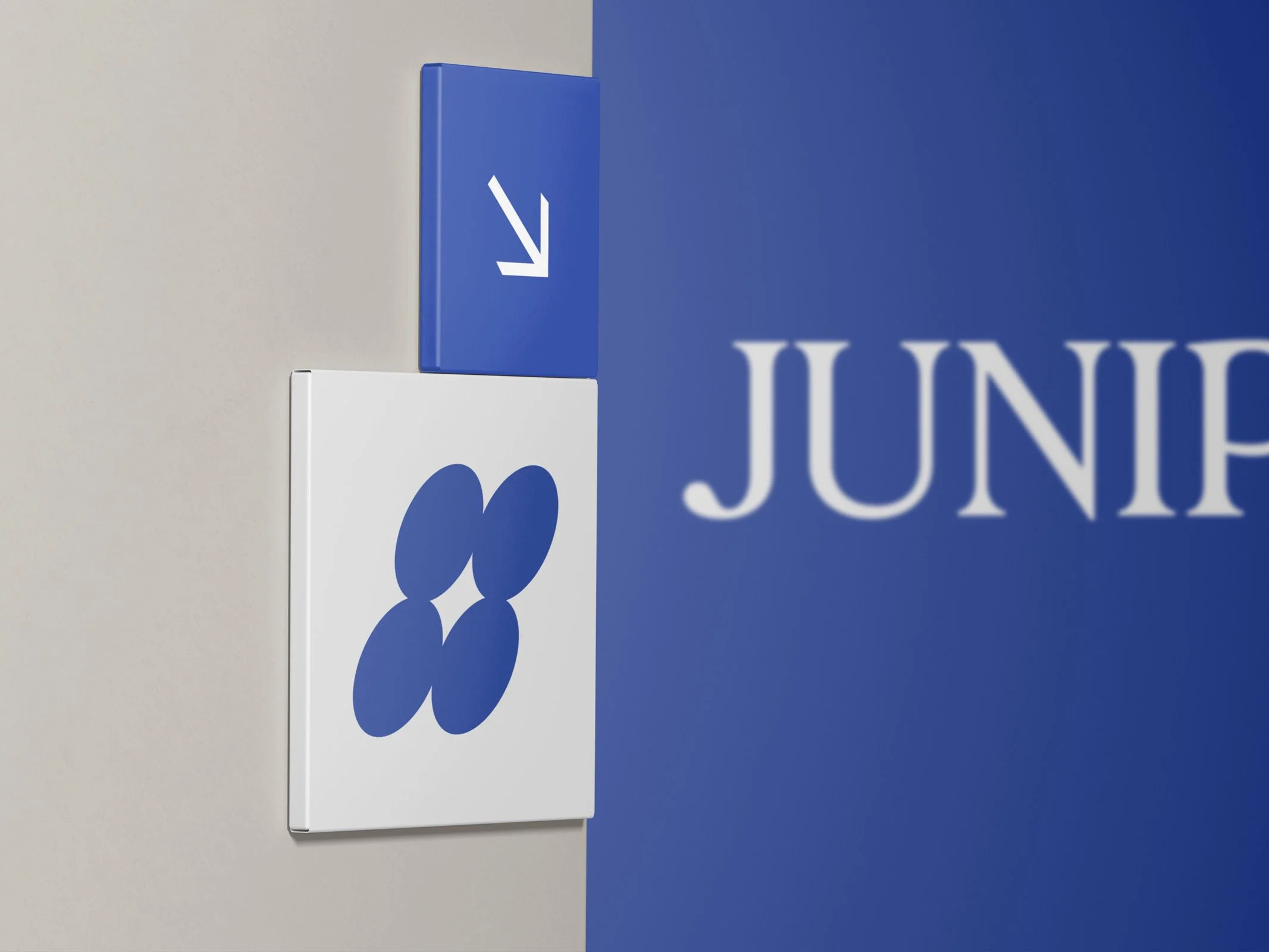 JUNIPER_WIP6.jpg
