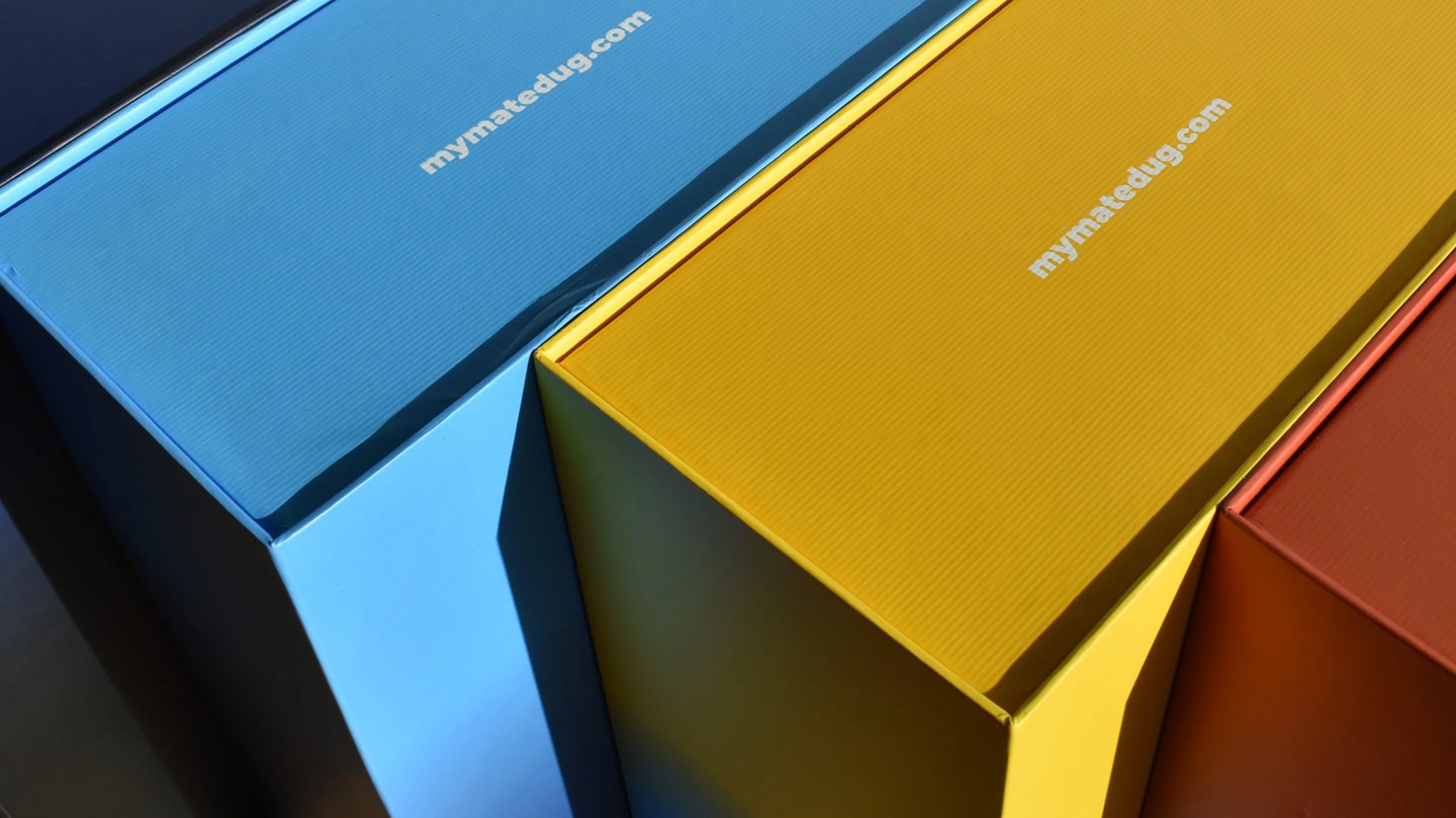 JS_FRAMER_FOLIO_DUG_26174.jpg