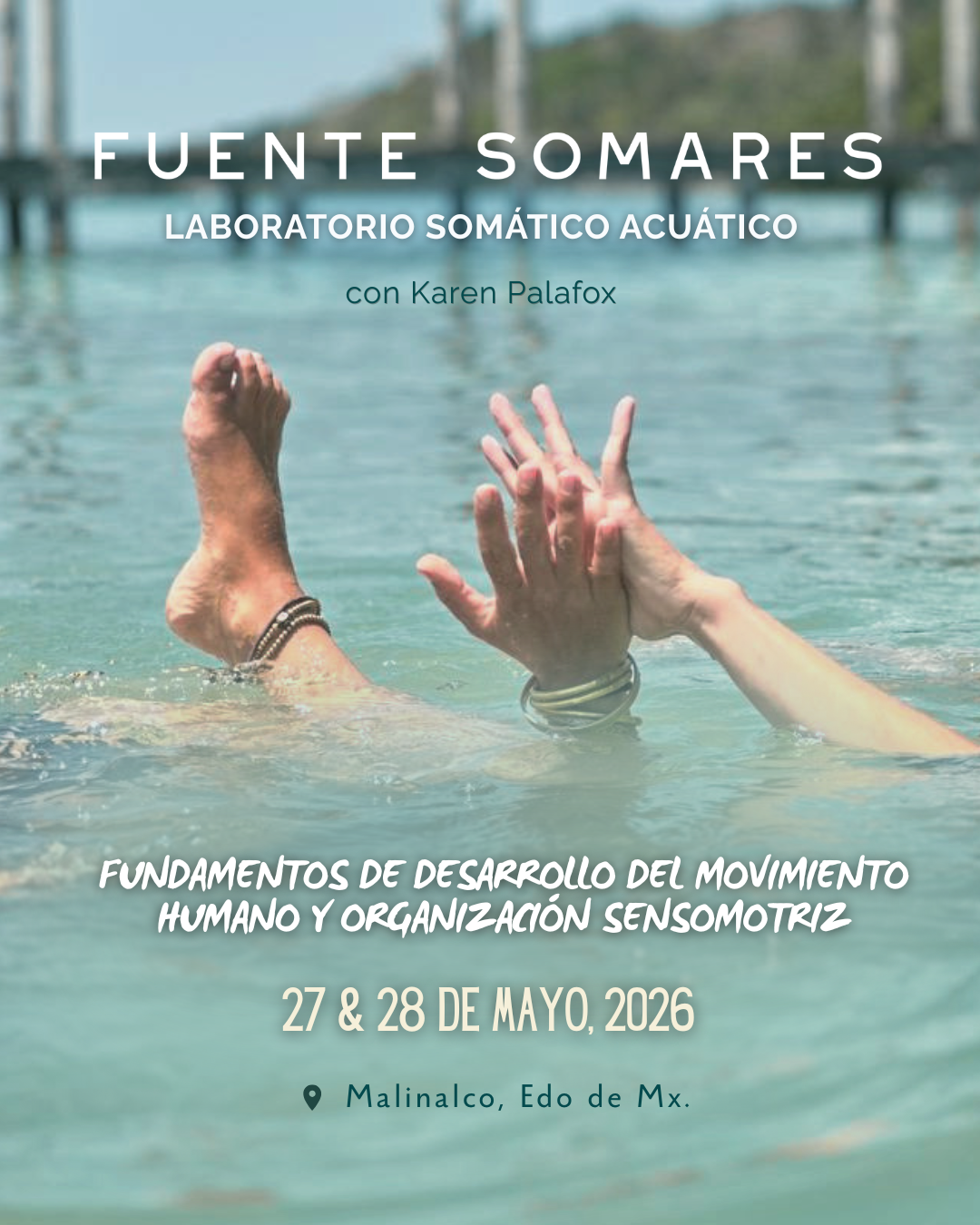 SOMARES - Taller de Educación de Movimiento Somático Acuático