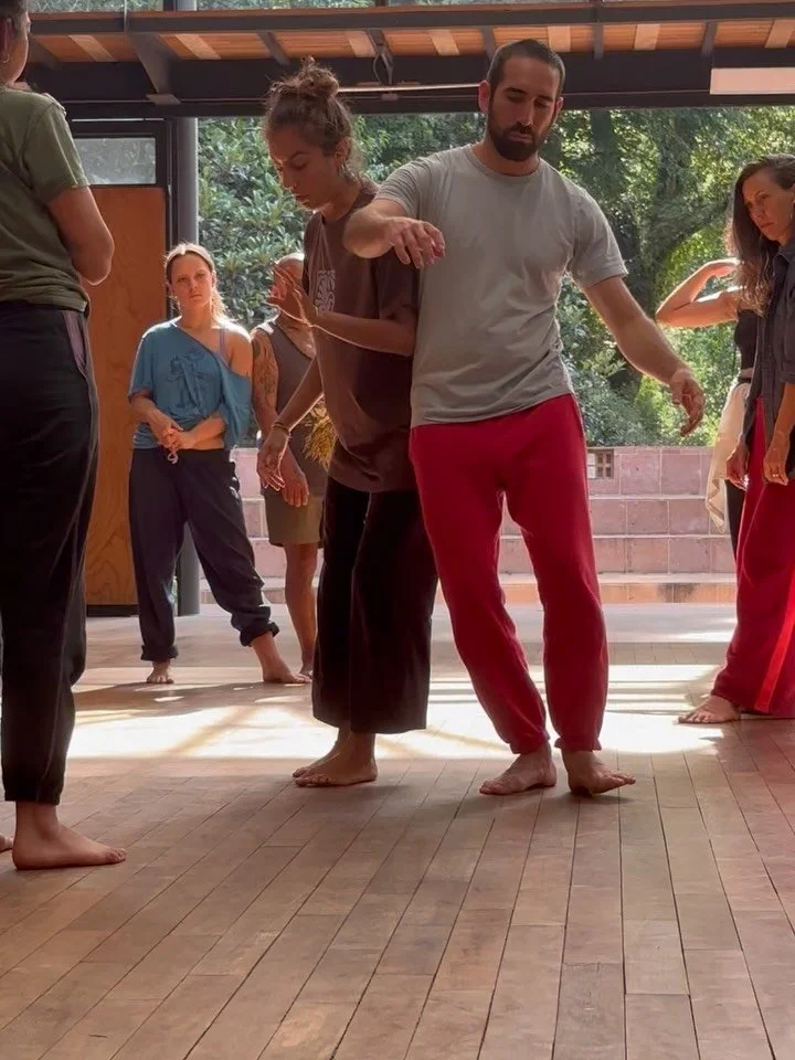 SAVIA 🍃 Somatic Movement &amp; Contact Improvisation Festival 

@__saviacisomafest 

#contactimprovisation