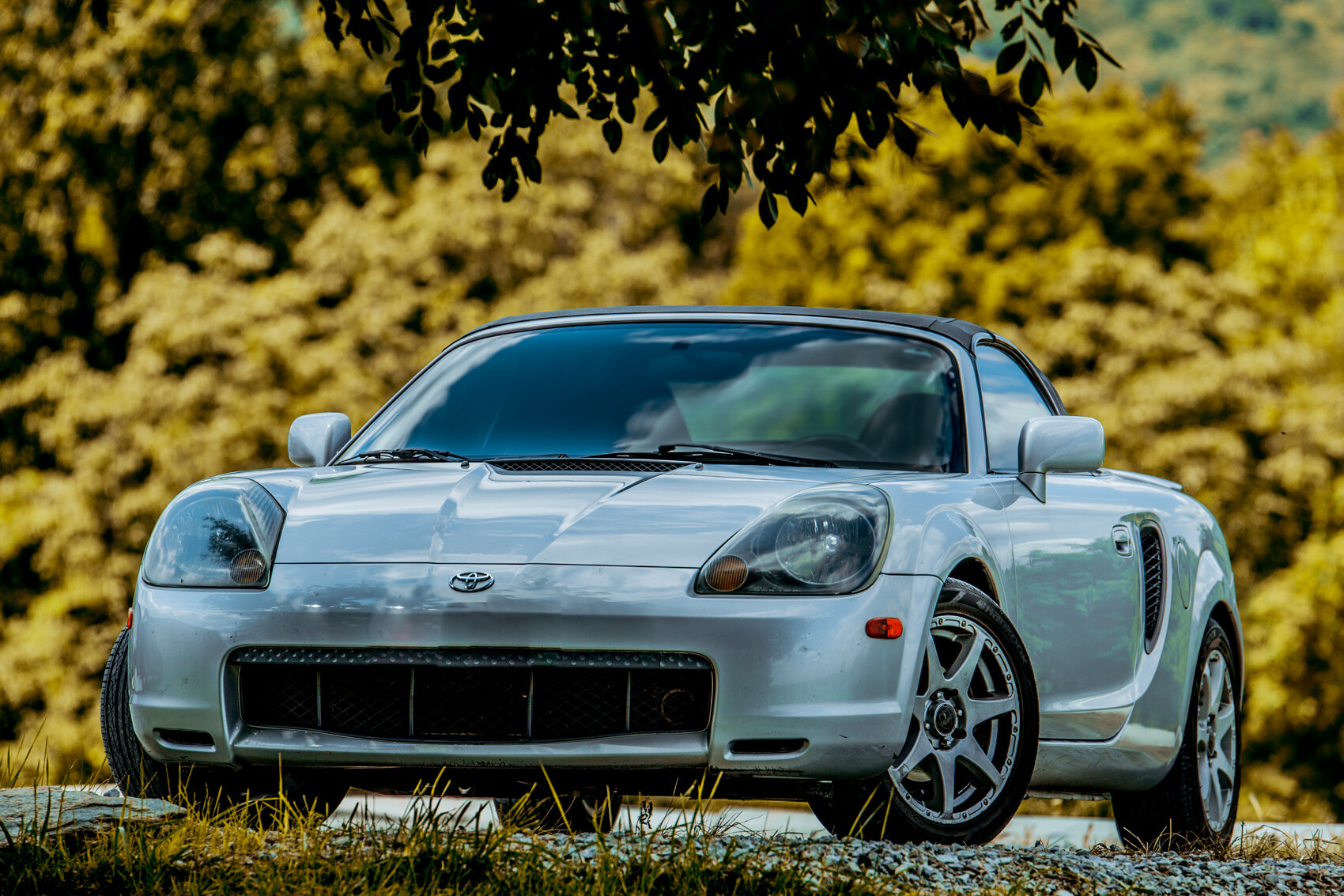 Mr2-001.jpg