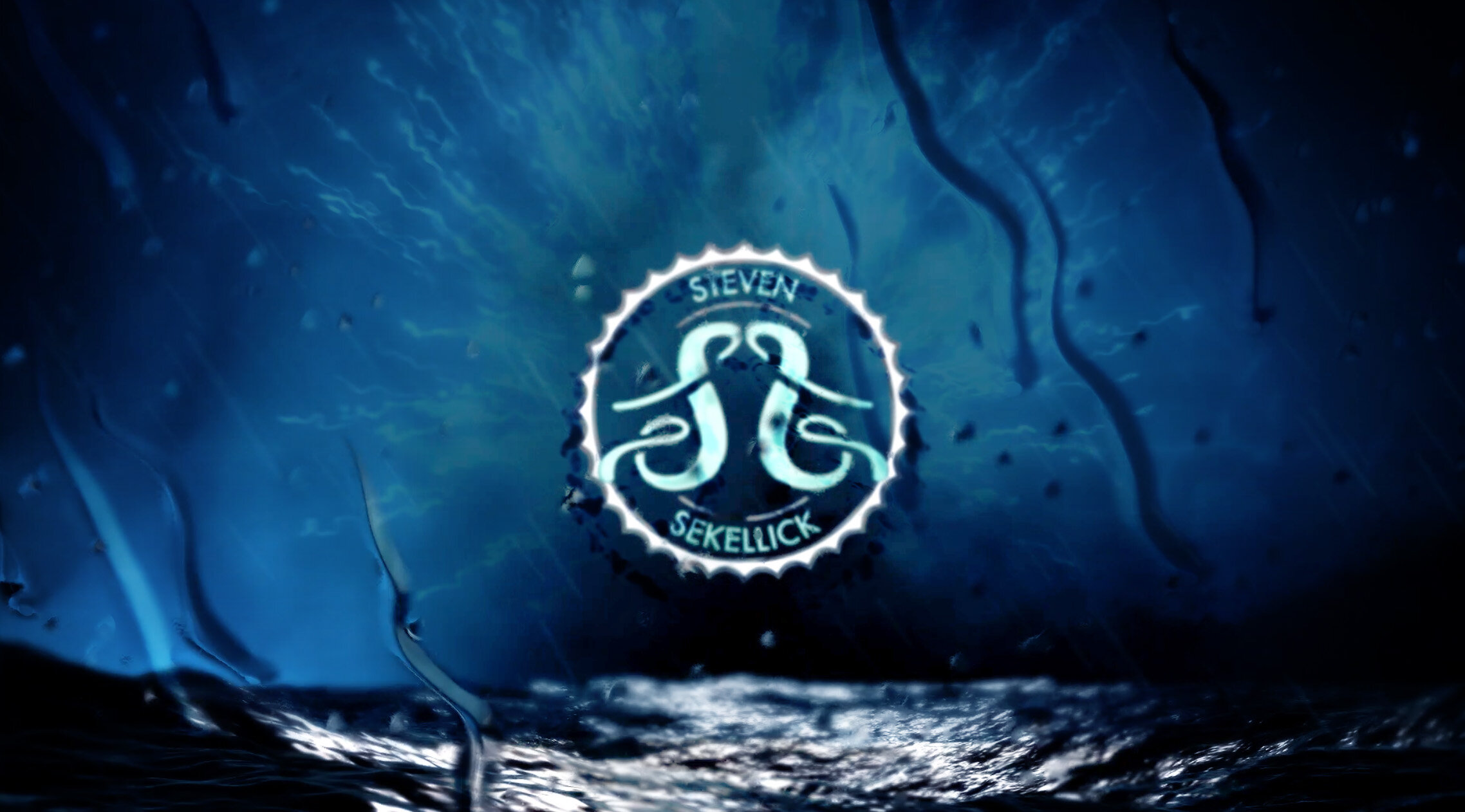 Steven Sekellick’s portfolio