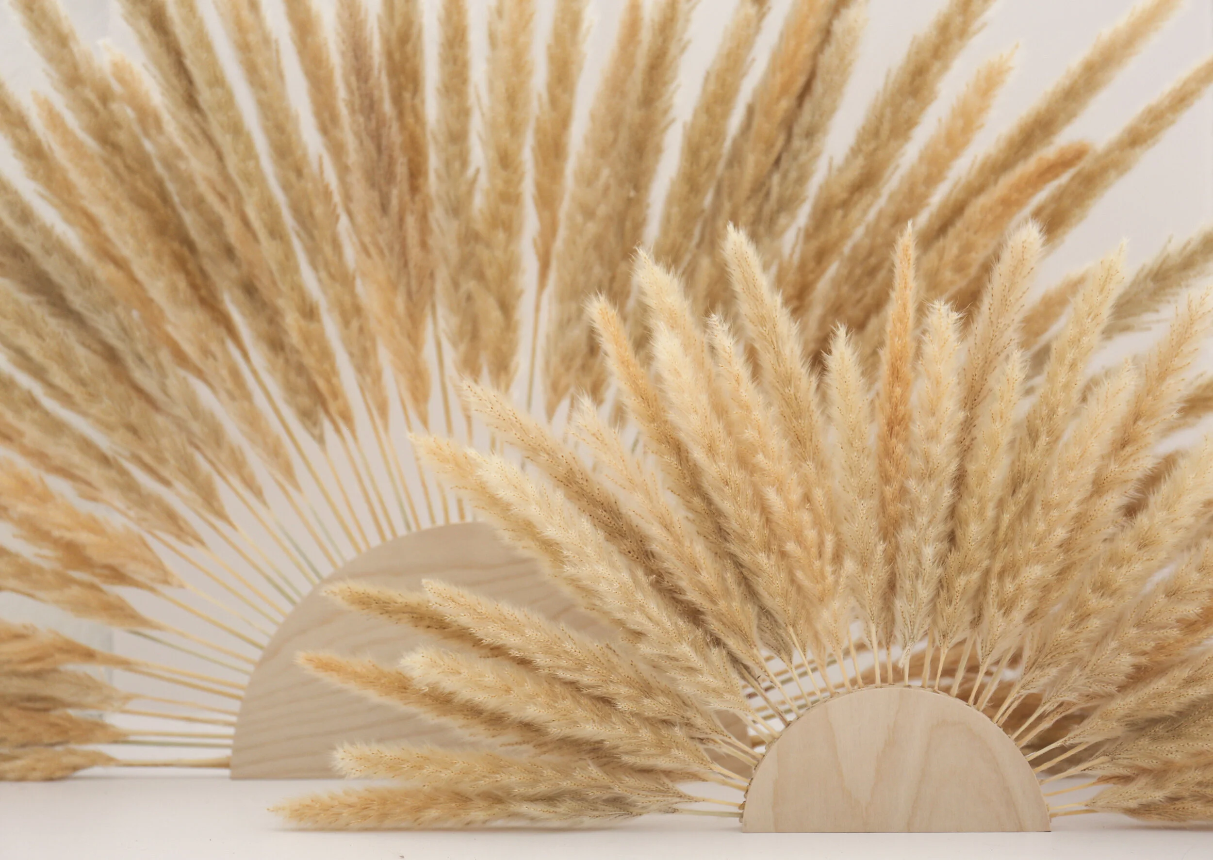 Pampas Sun Wall Art — The 8th Drifter