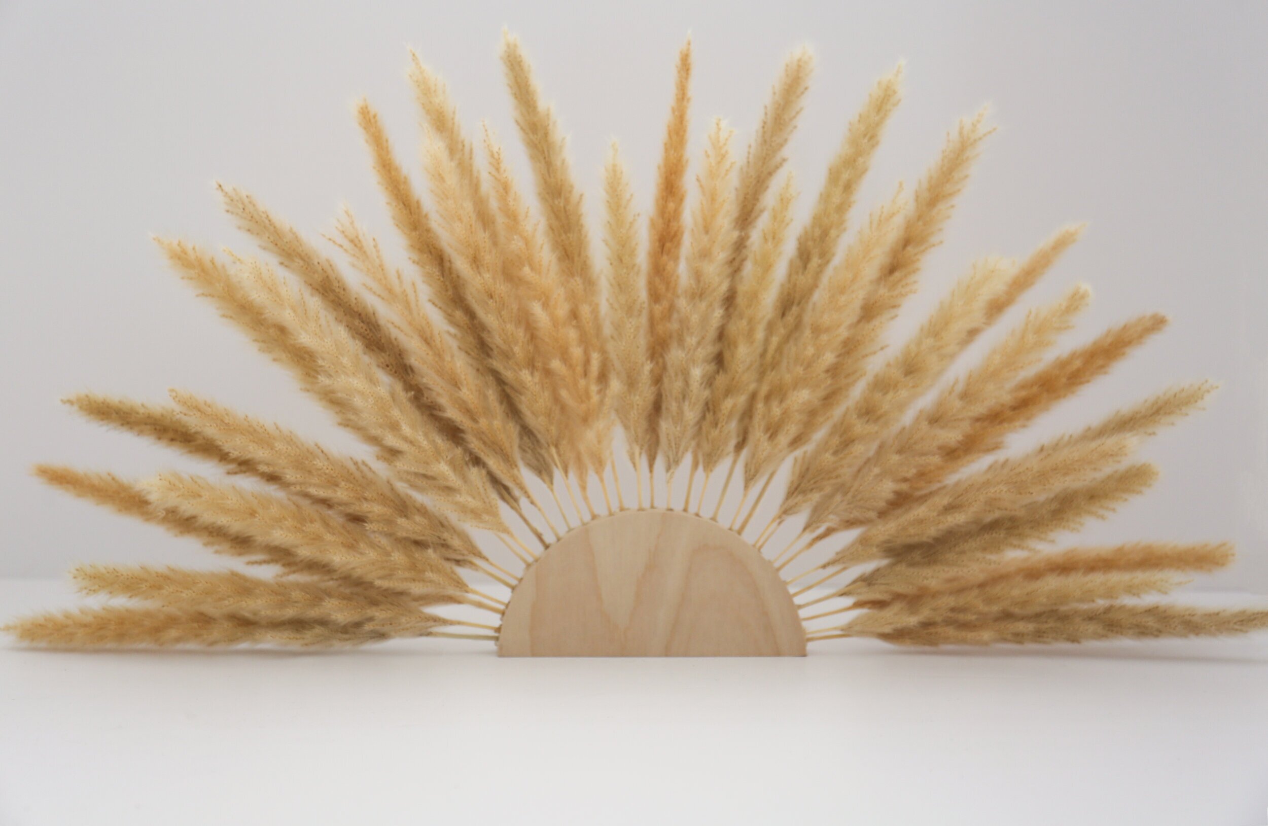 Pampas Sun Wall Art — The 8th Drifter