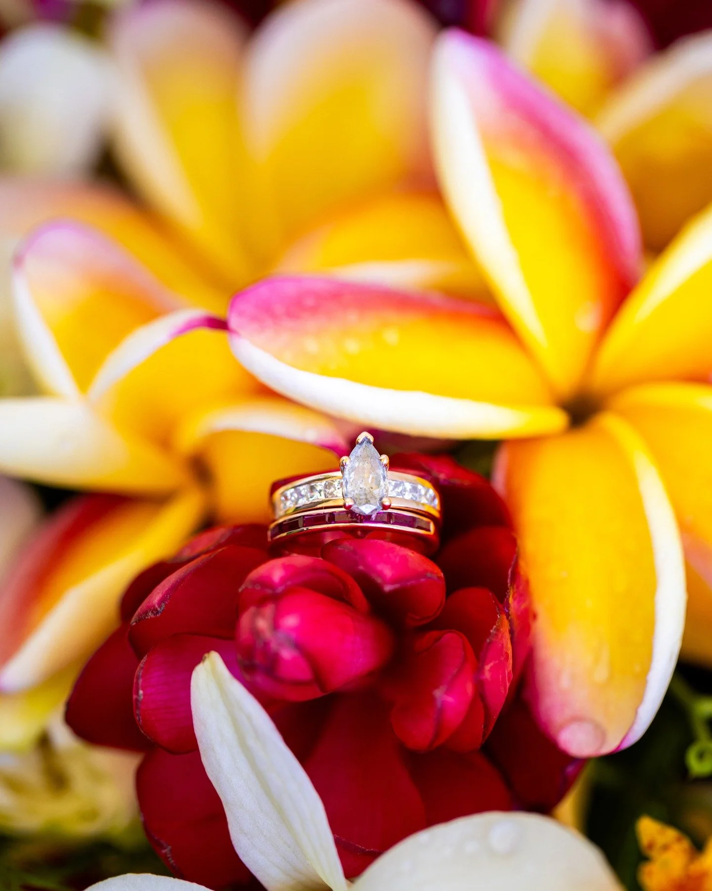 The Bride and Groom's rings inside of her bouquet is a favorite of mine to capture. The beautiful plumerias were the perfect backdrop for the bands they chose. 🤍💍

Venue: @waikoloabeachmarriott 
Planner: @blushweddingshawaii 
Florals: @graceflowers