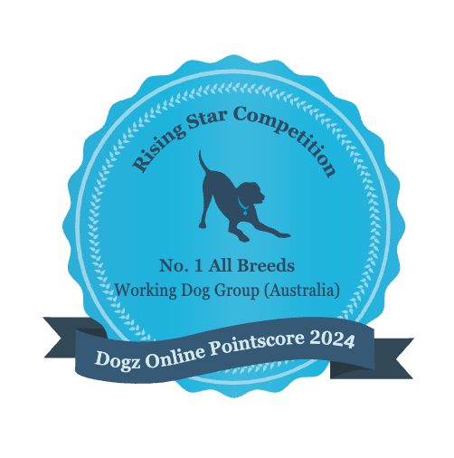 128202611718-No-1-All-Breeds-Working-Dog-Group-(Australia).png
