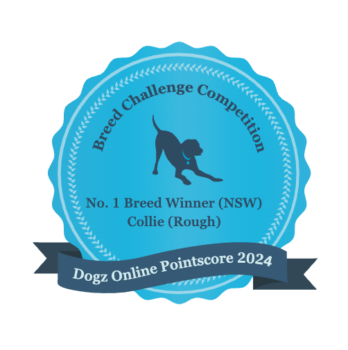 128202611741-No-1-Breed-Winner-(NSW)-Collie-(Rough).png