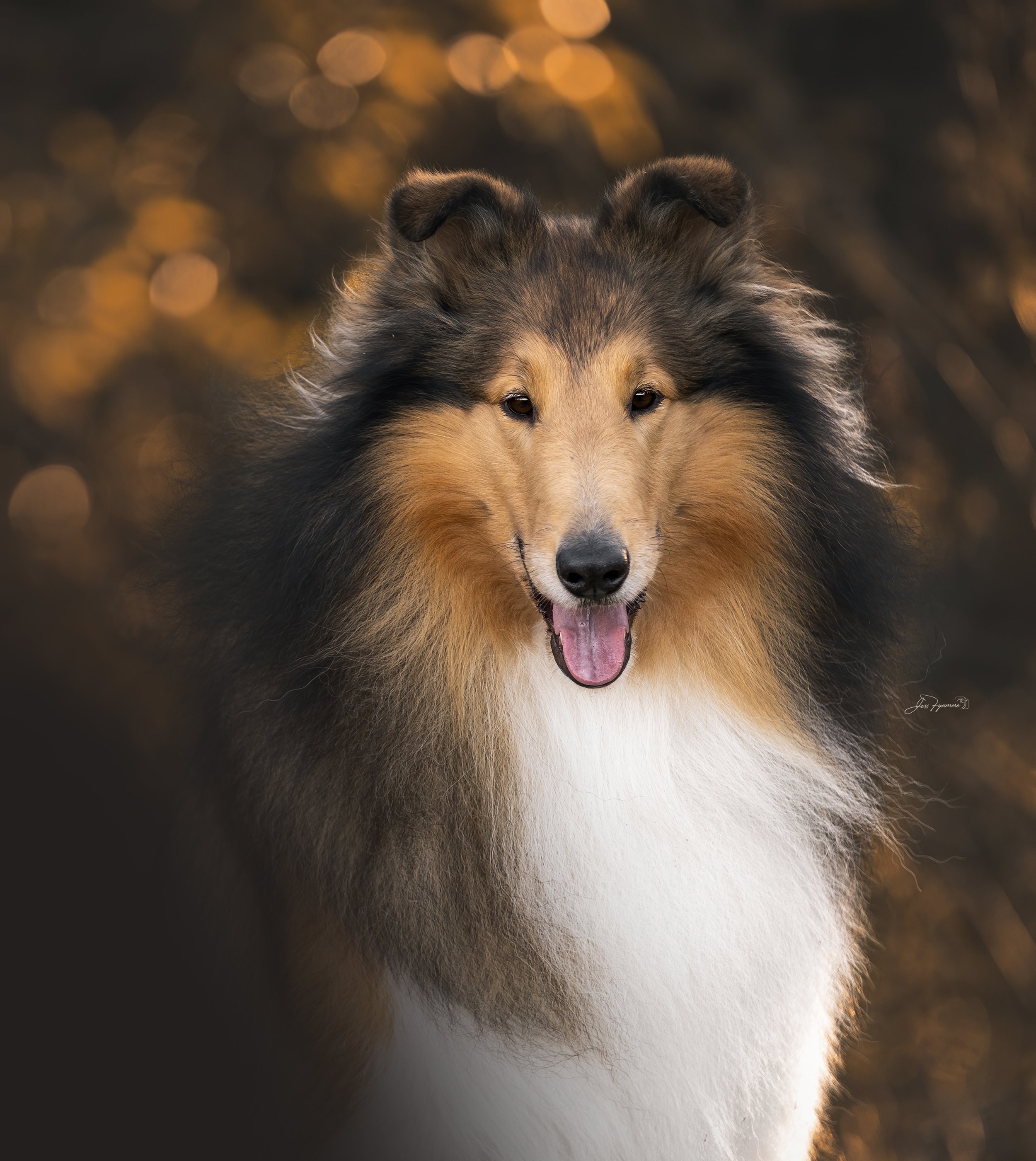 Jess Headshot Qld 2024 copy.jpg