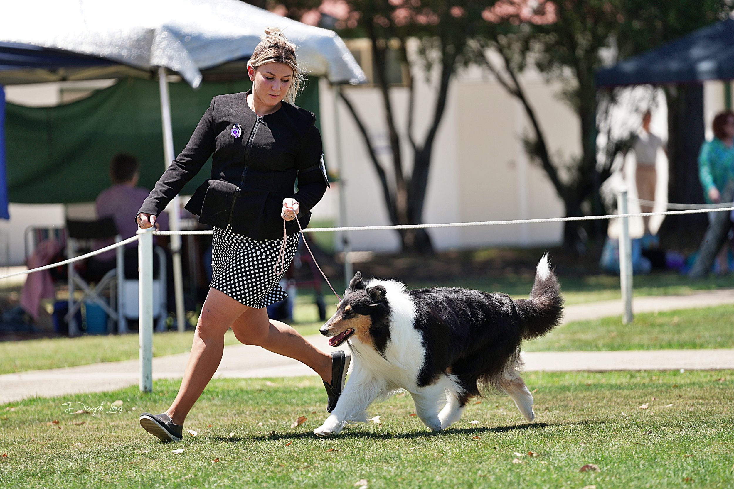 Dolly moving CCNSW 2023.JPG