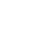 TOMATO GLASSES STORY