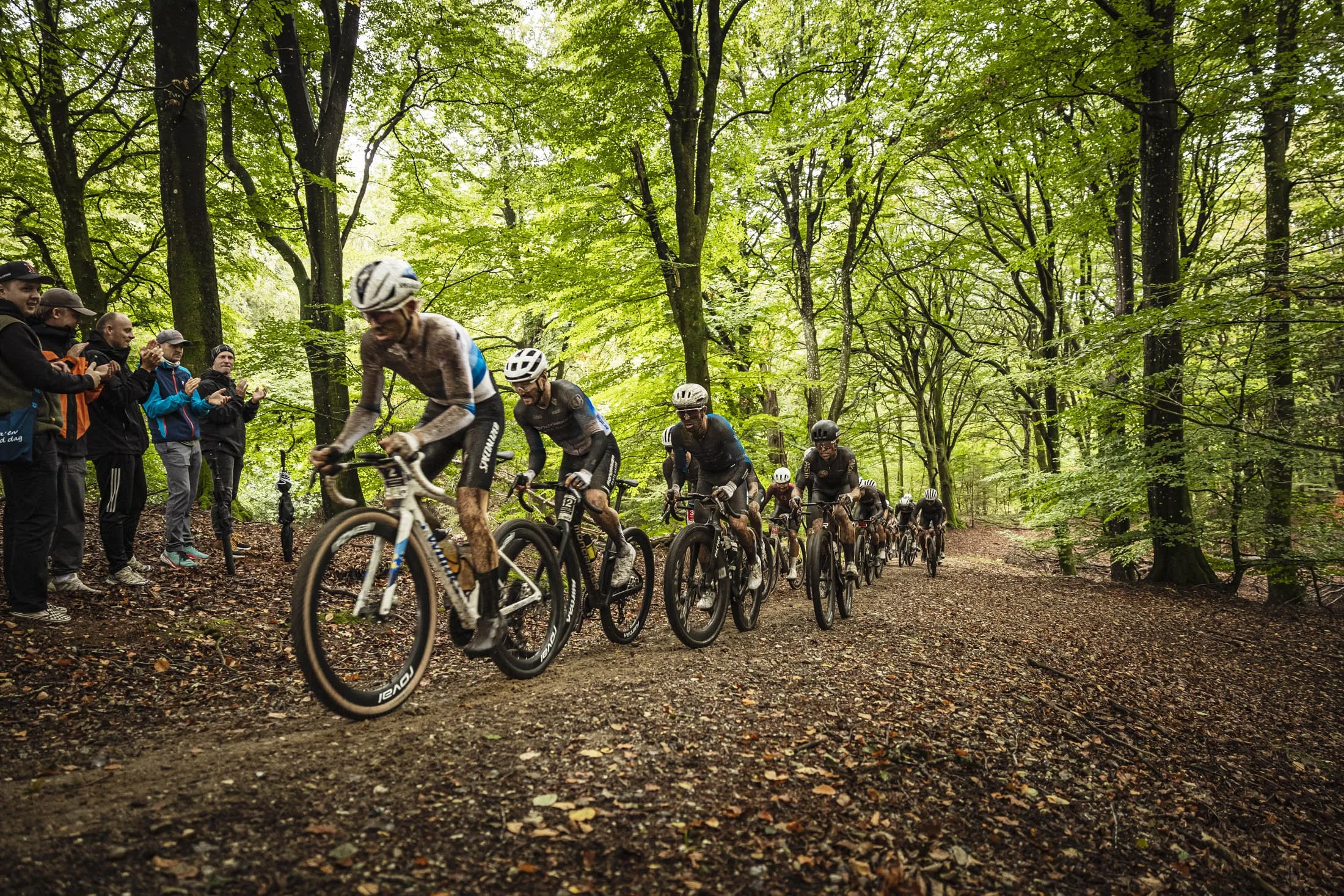 _I7A0341.jpg