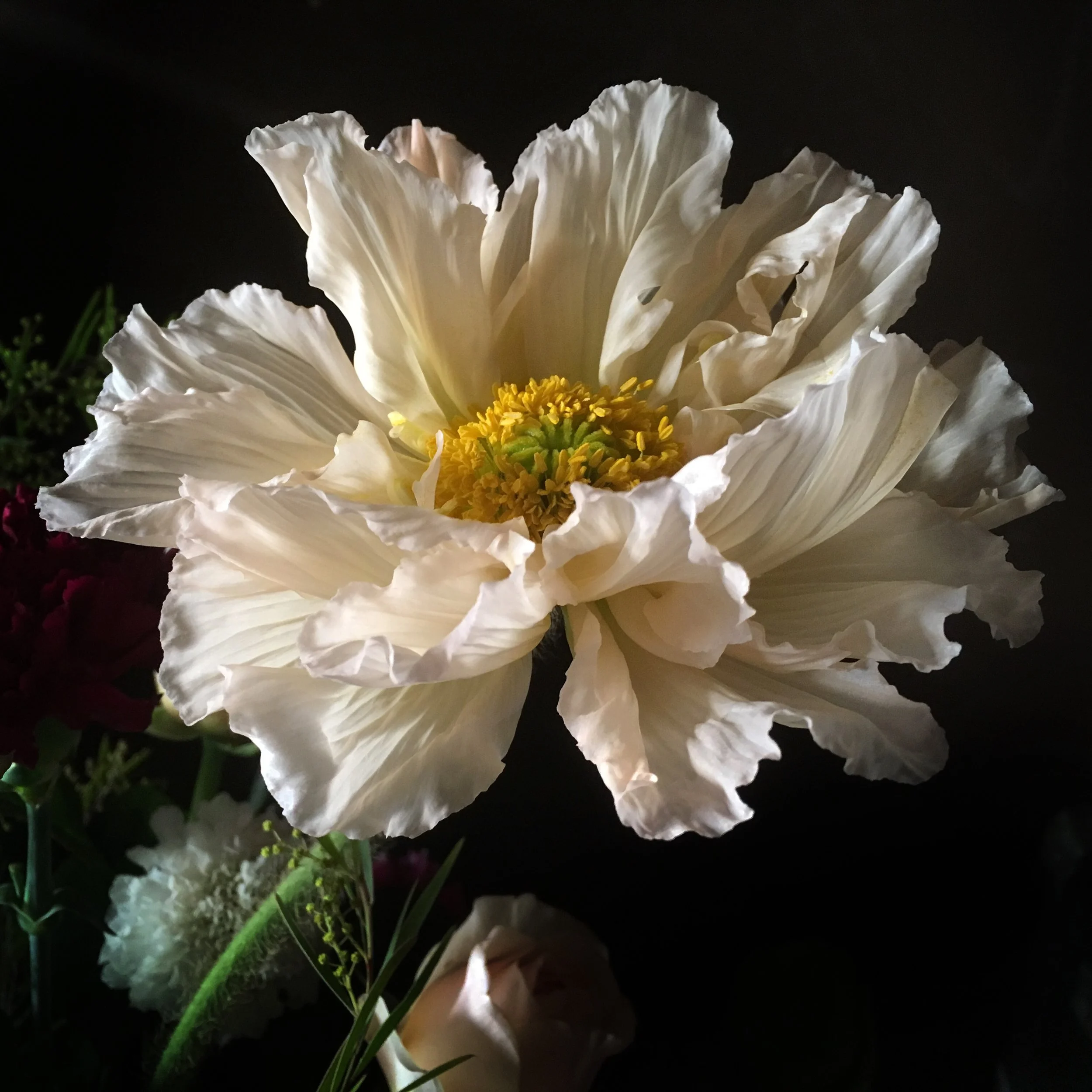 FullSizeRender 38.JPG