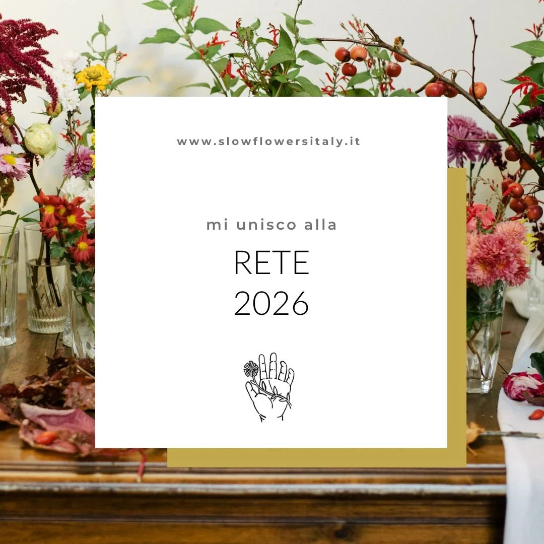 Presenza Rete Sfi 2026