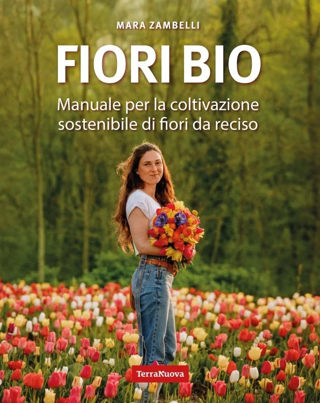 Coltivare fiori biologici senza inquinare