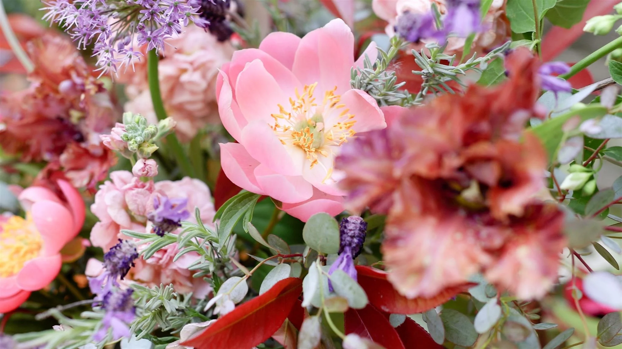 Slowflowers_ 478_websize.jpg