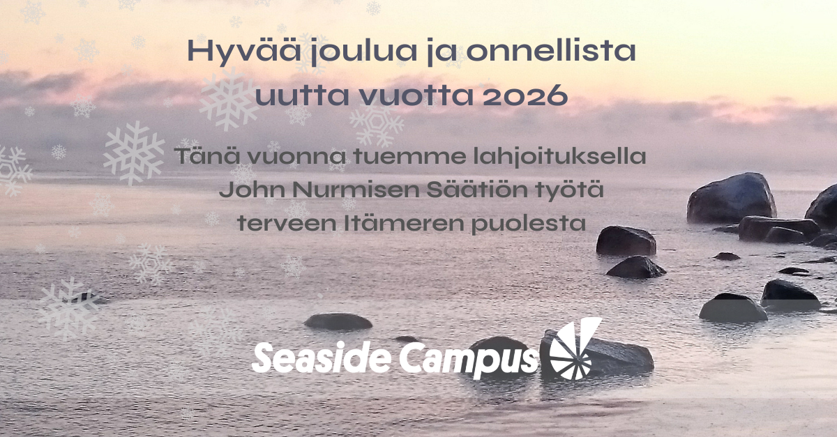 Hyvää joulua, Season’s Greetings!
