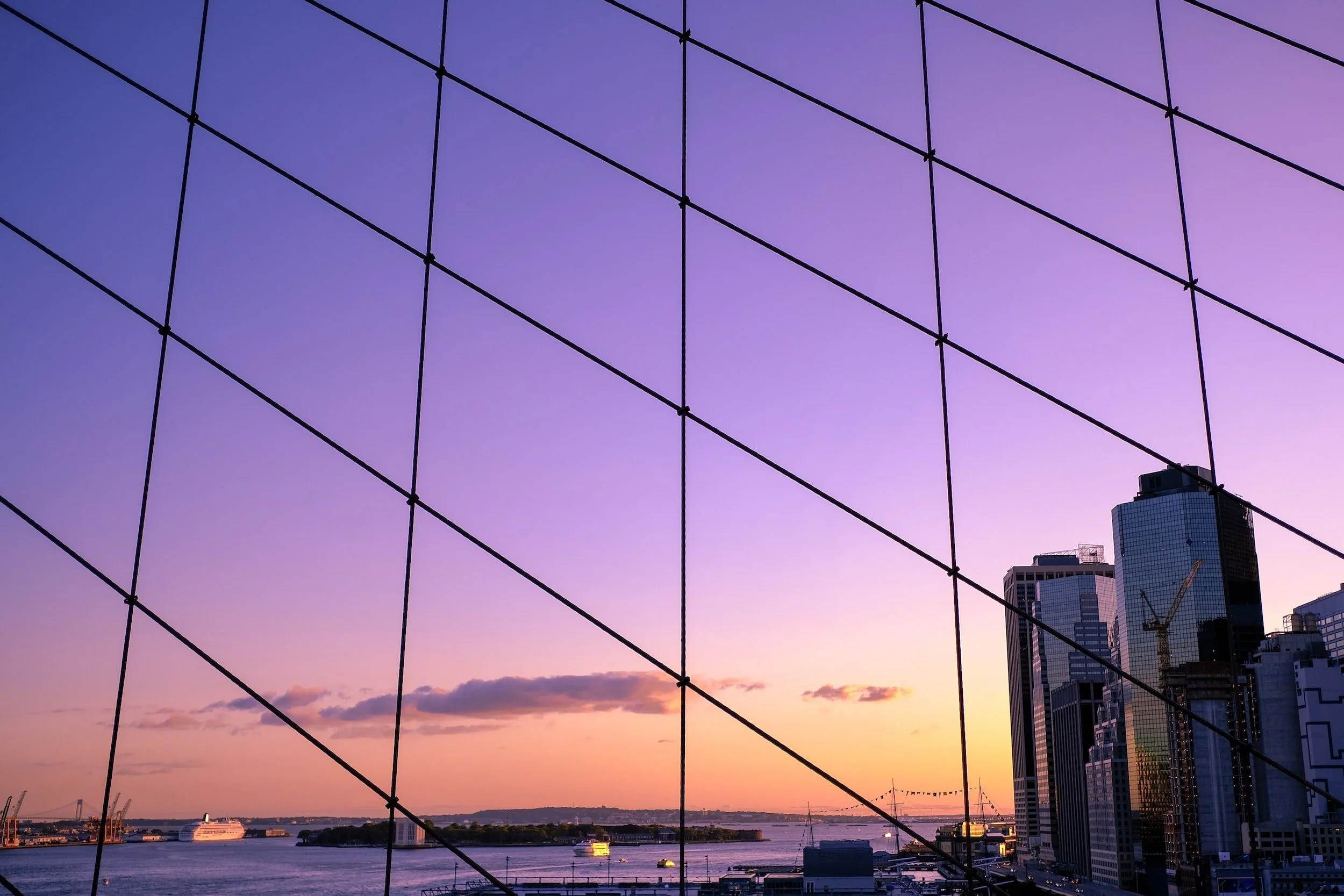 LDTI heralds new dawn for carriers
