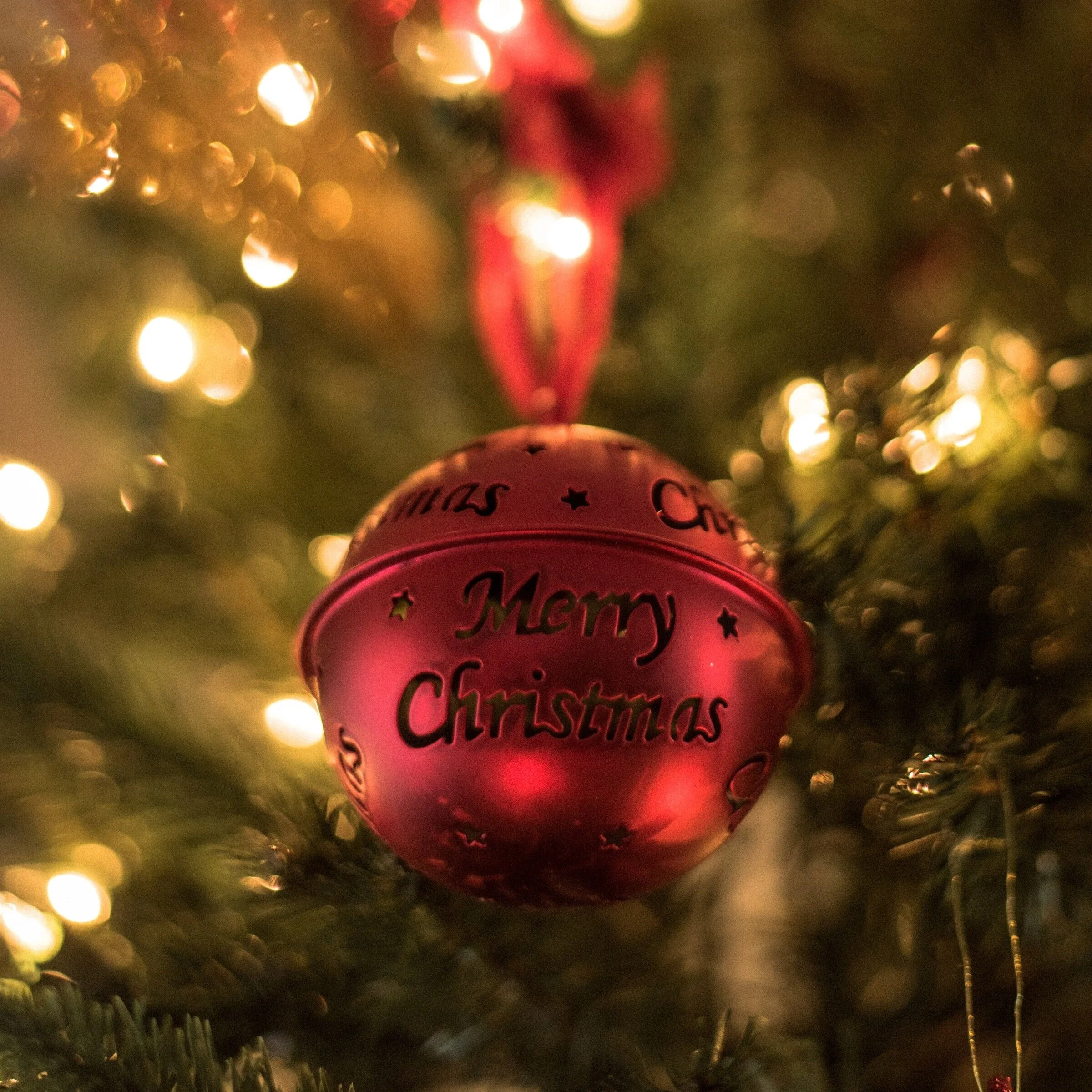 Merry Christmas