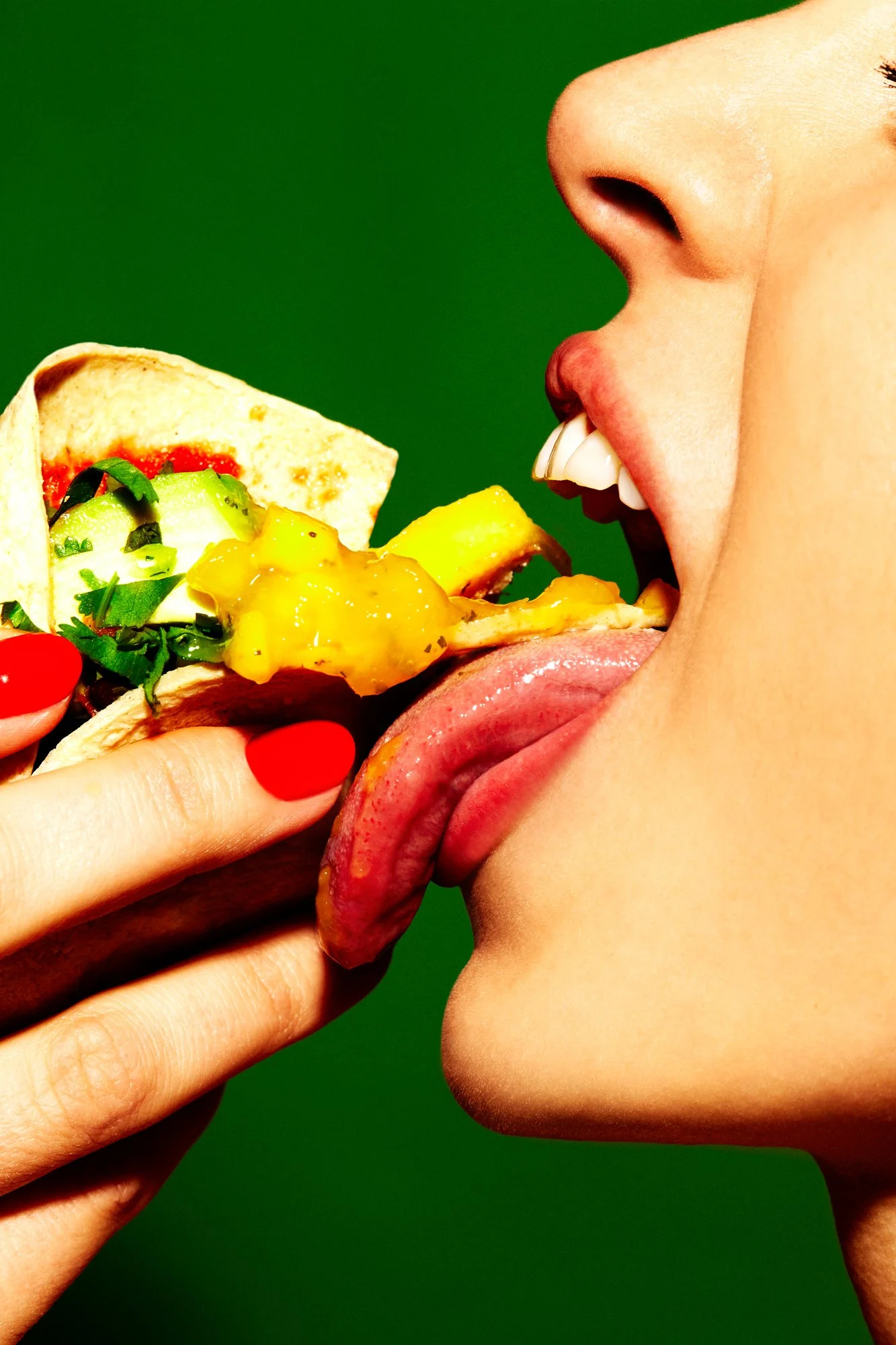 Gastrofaza11649.jpg