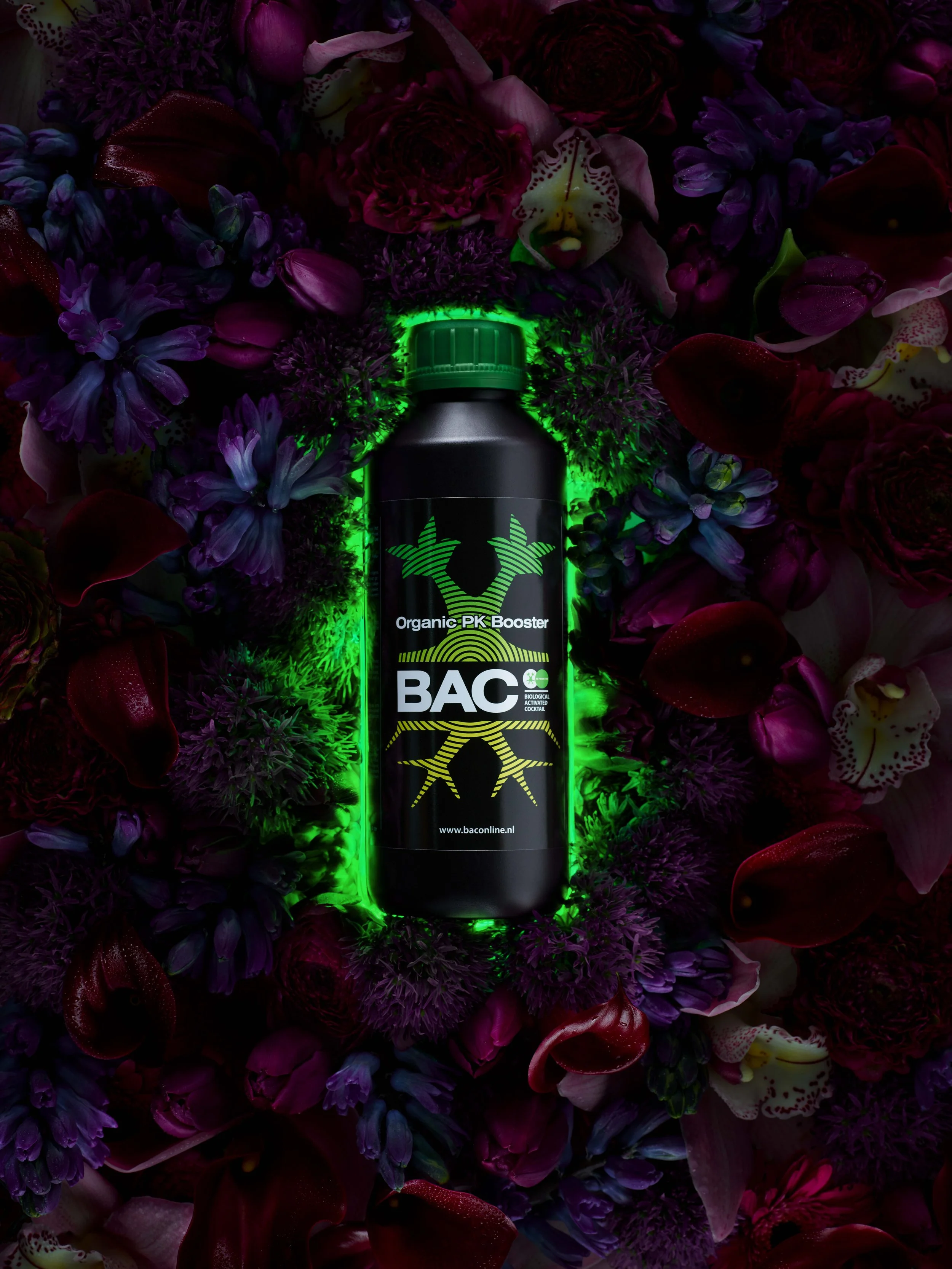 BAC_campaign_1.jpg