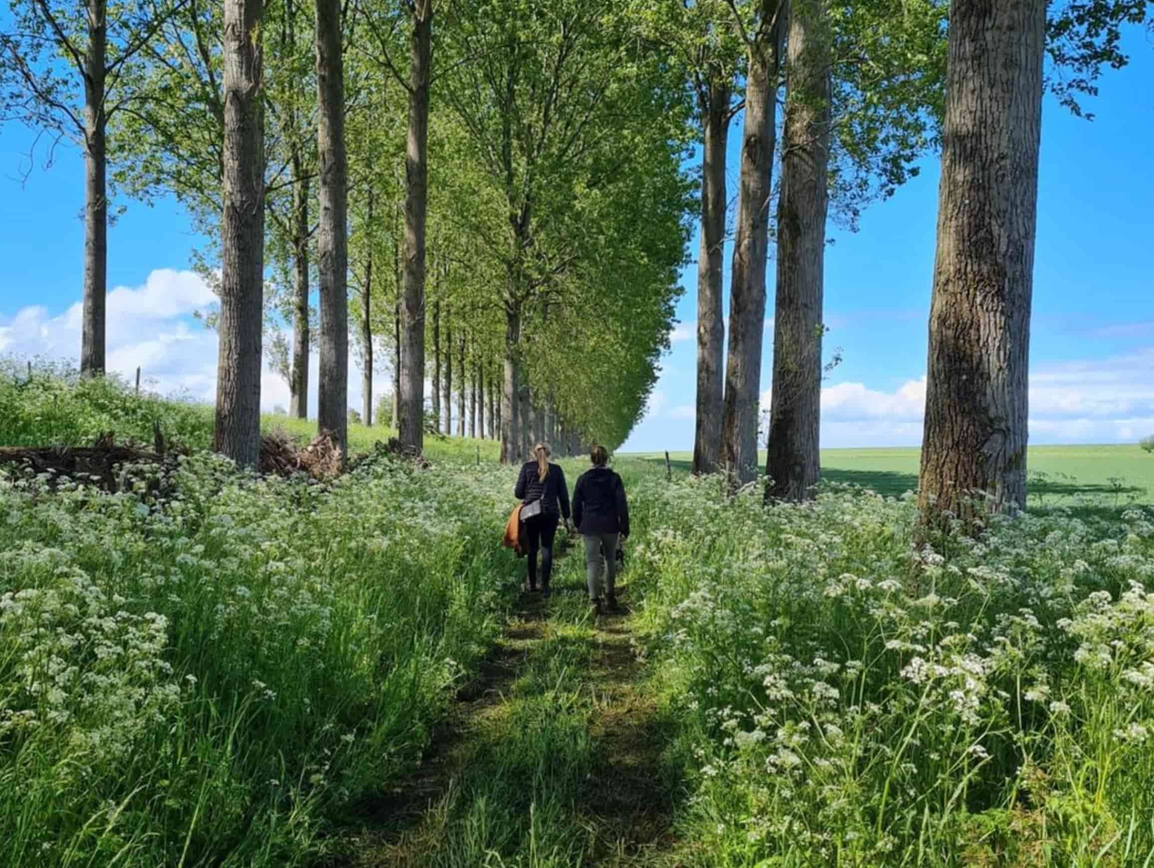 Streek Saeftinghe Zeeuws-Vlaanderen Luxe B&B in Zeeland: Het verborgen Geluk